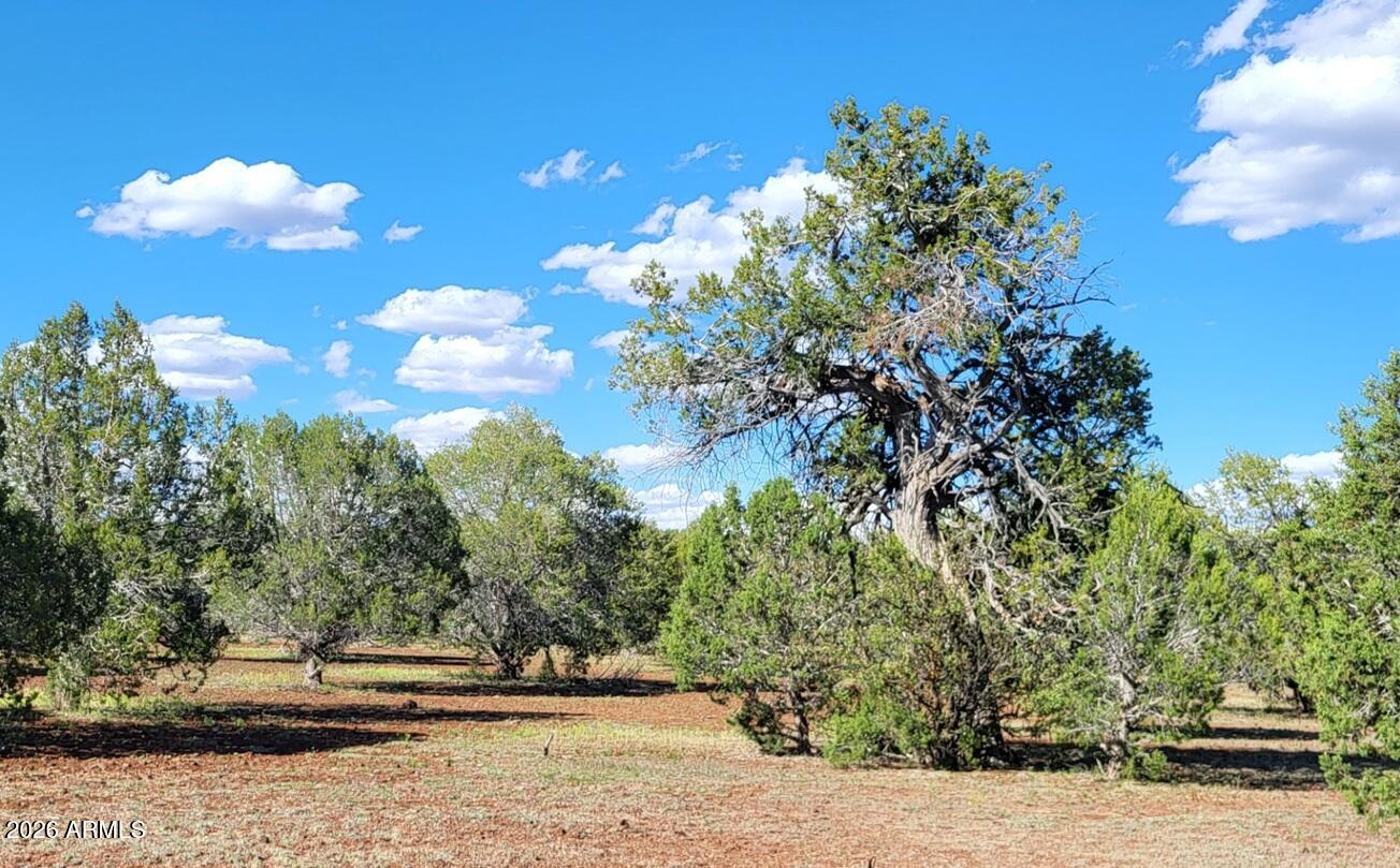 Westwood Ranch - Land