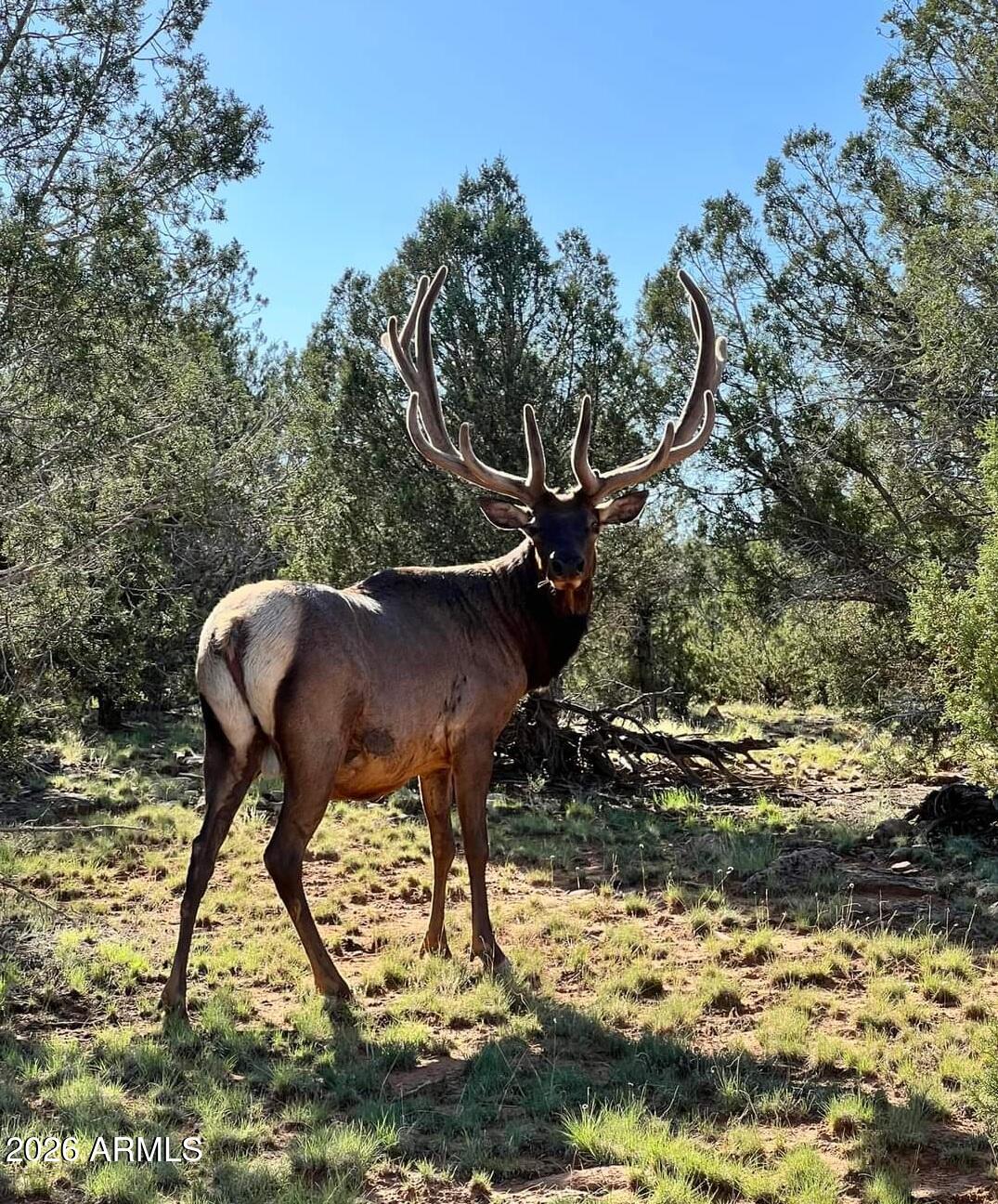 Westwood Ranch - Land