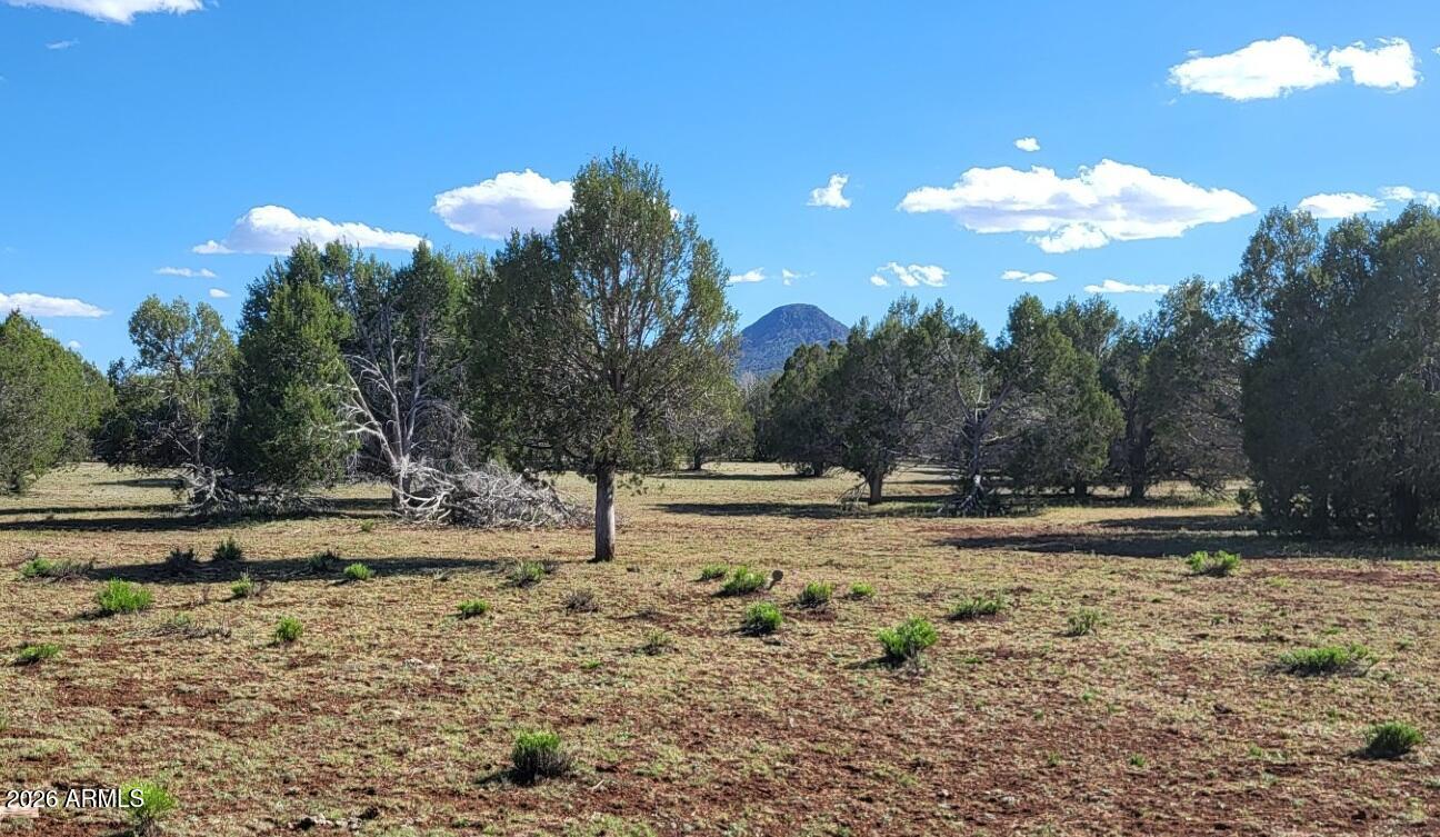 Westwood Ranch - Land