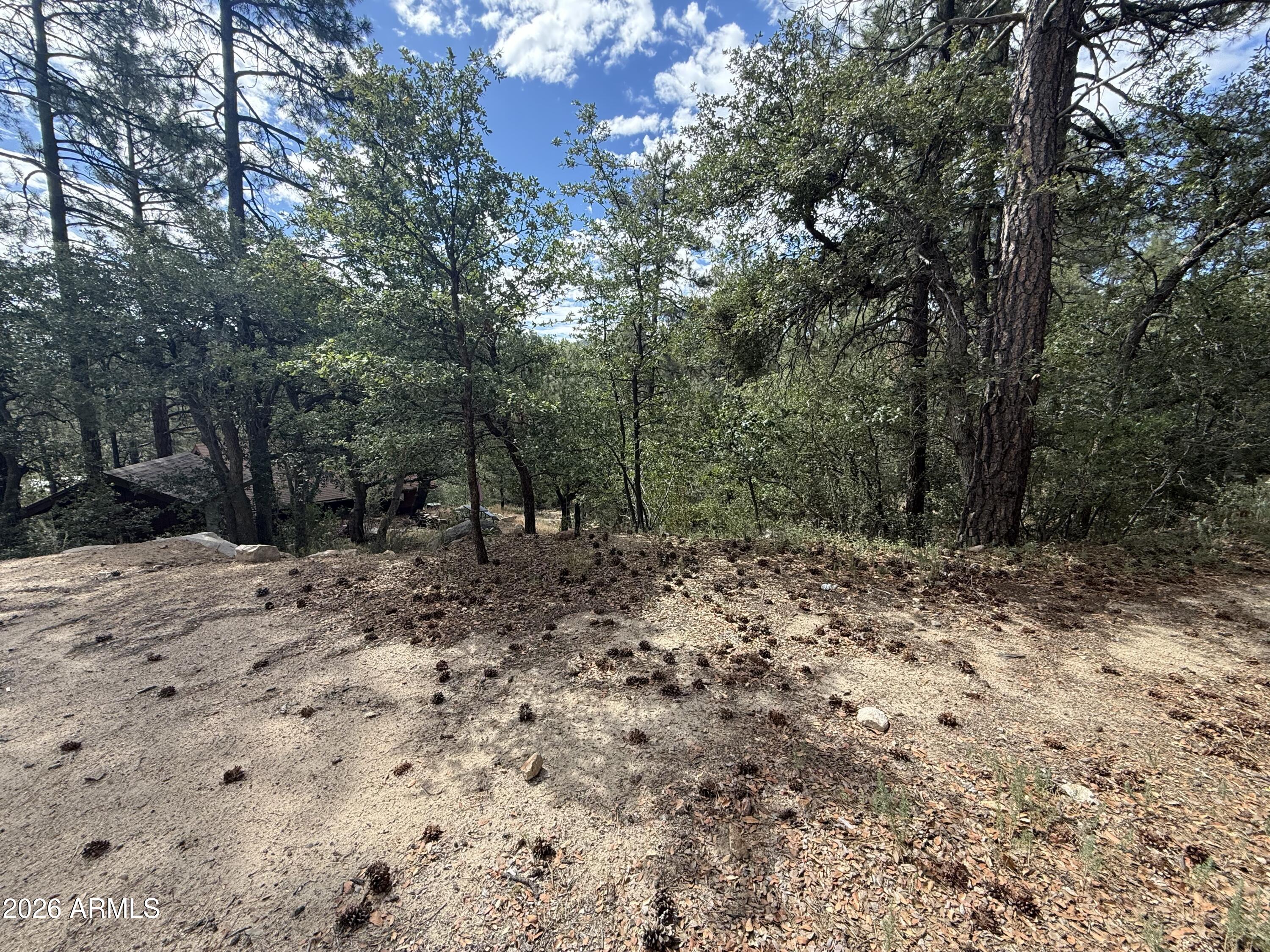 SUNNY SOUTH DIVISION OF CROWN KING ACRES - Land