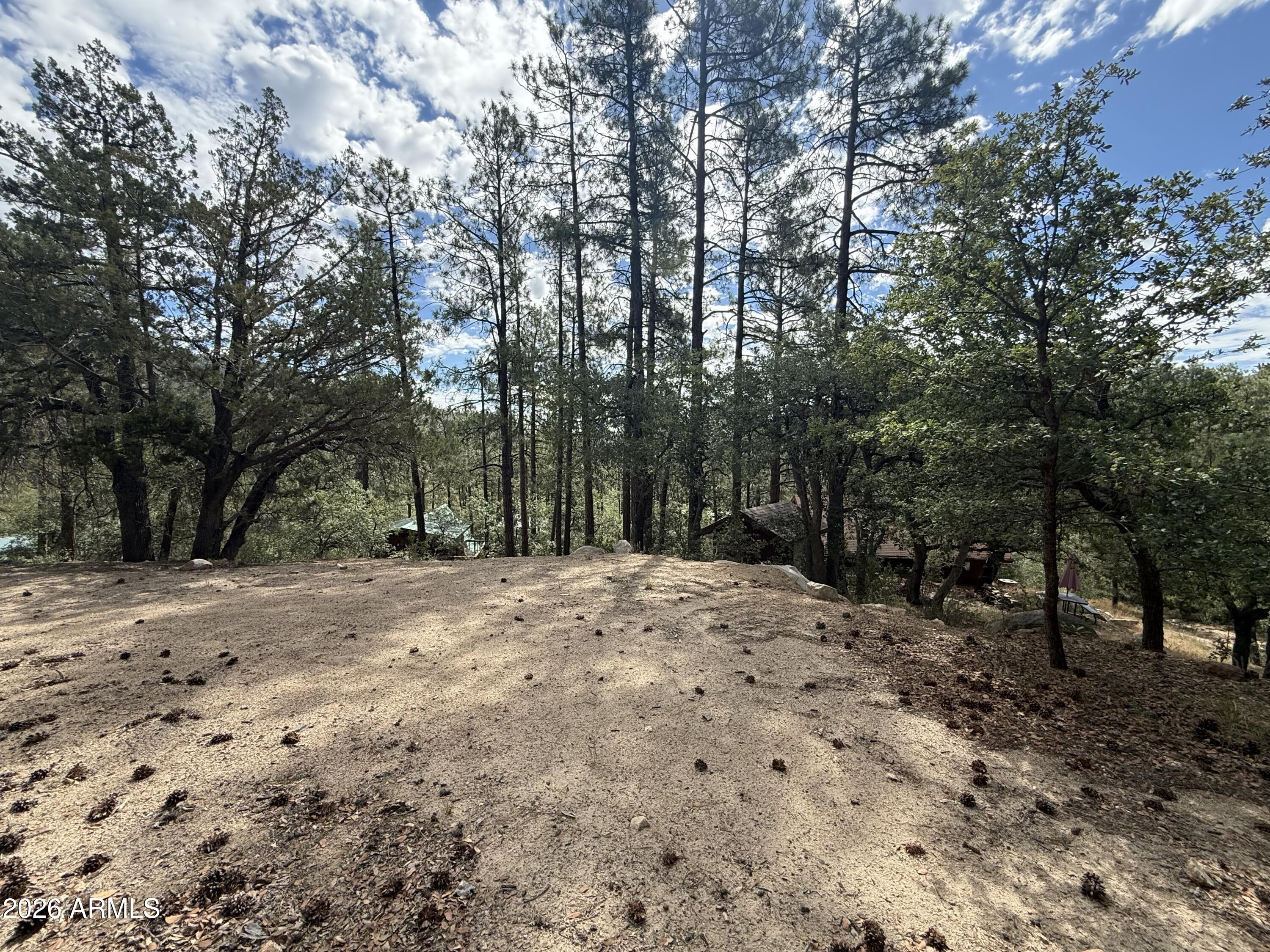 SUNNY SOUTH DIVISION OF CROWN KING ACRES - Land