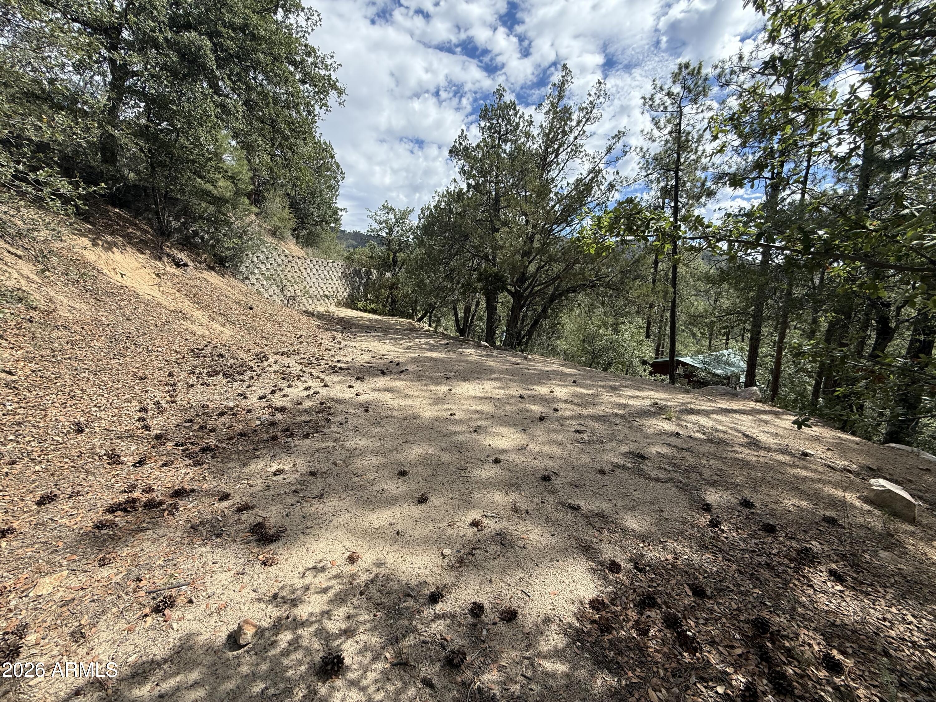 SUNNY SOUTH DIVISION OF CROWN KING ACRES - Land