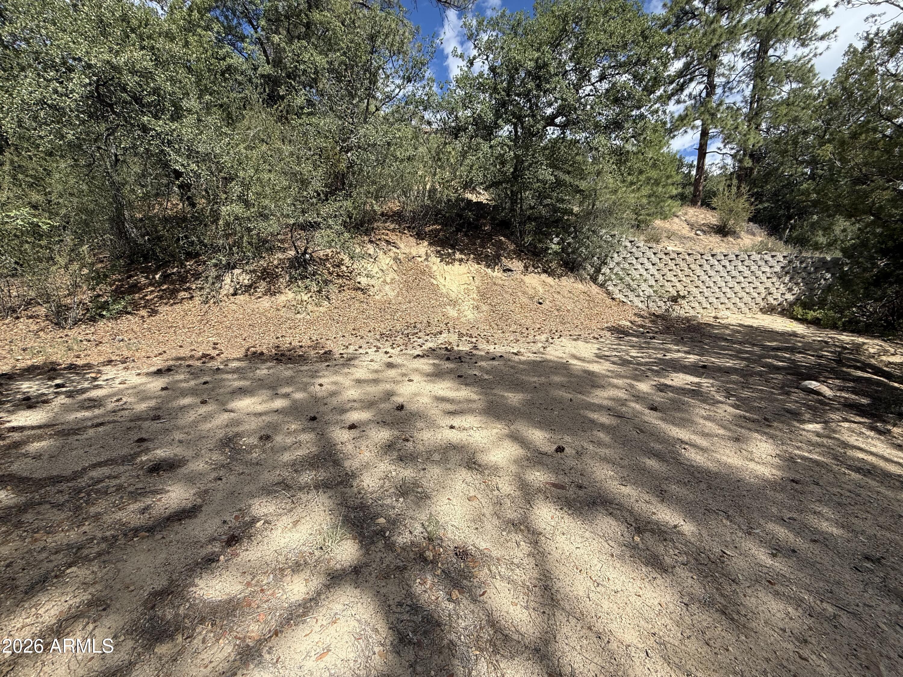 SUNNY SOUTH DIVISION OF CROWN KING ACRES - Land