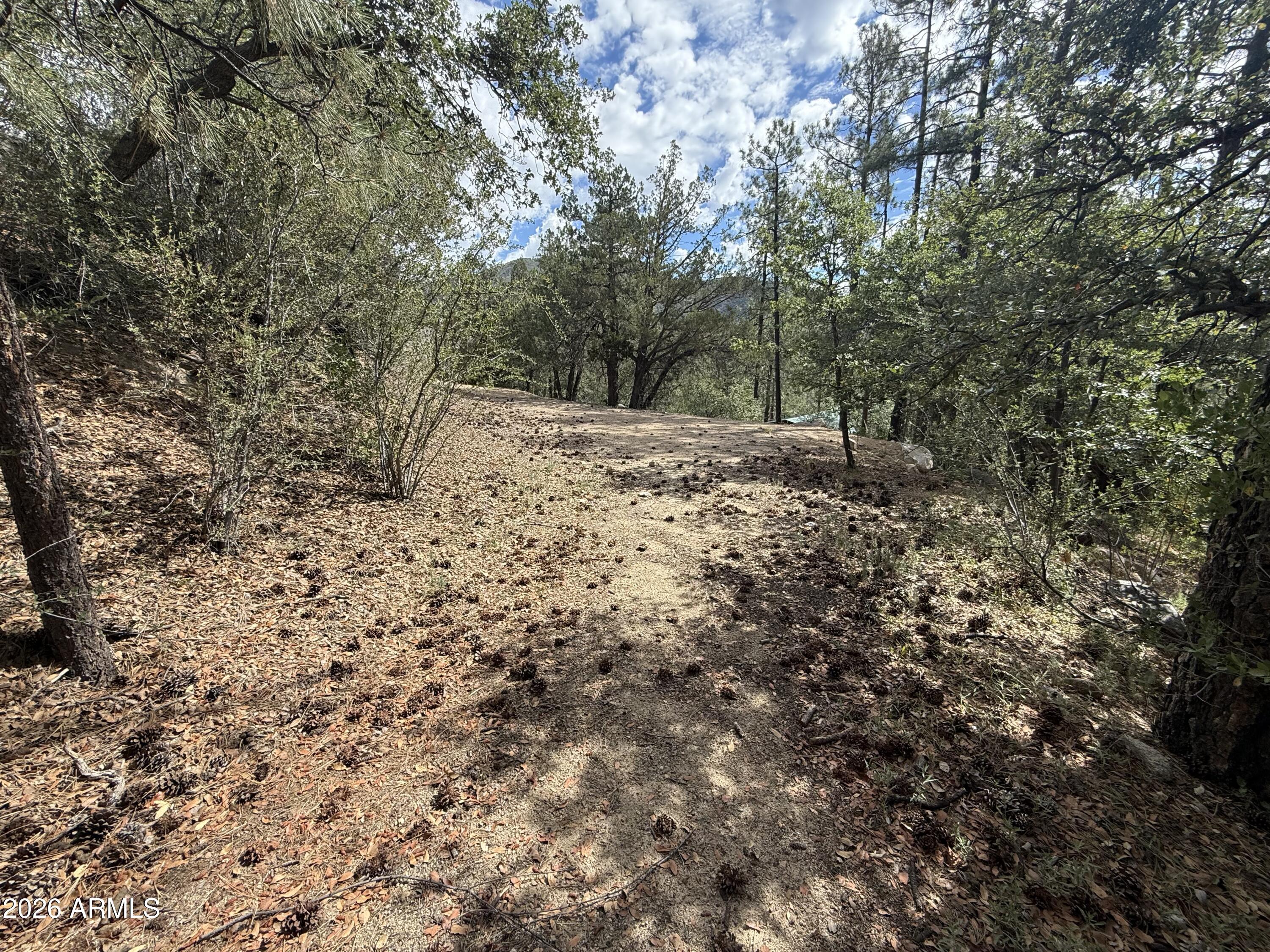 SUNNY SOUTH DIVISION OF CROWN KING ACRES - Land