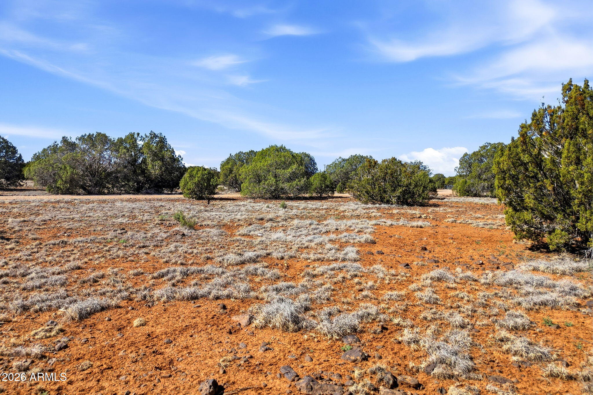 WHITE MOUNTAIN LAKE ESTATES - Land