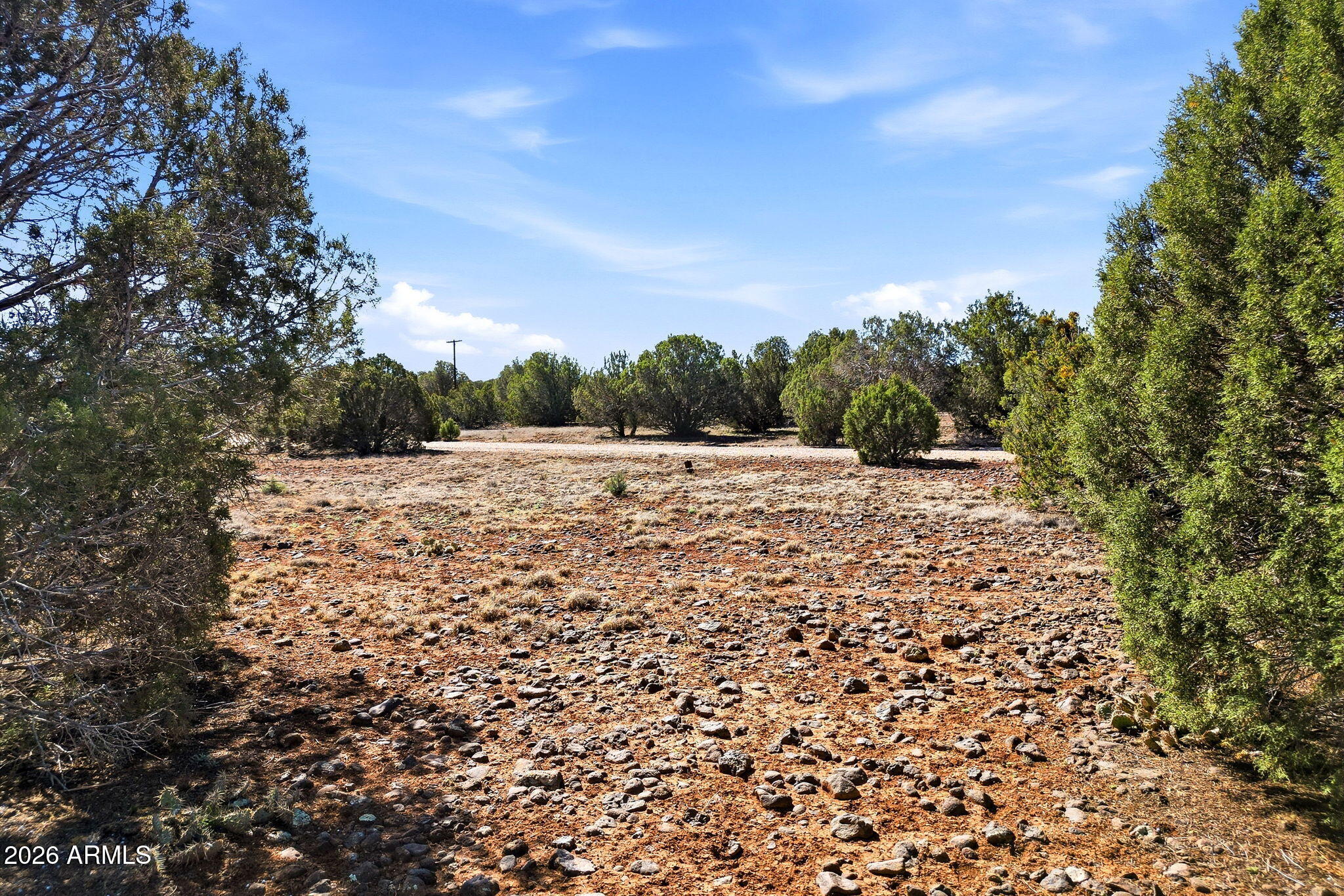 Great level lot in the heart of White Mountain Lakes. Build your dream home or place a new modular home. Includes White Lake privileges, for boating, fishing. The seller will carry this great lot too! Now's your chance to own your own part of the White Mountains! **Seller is a Licensed Real Estate agent in the state of AZ