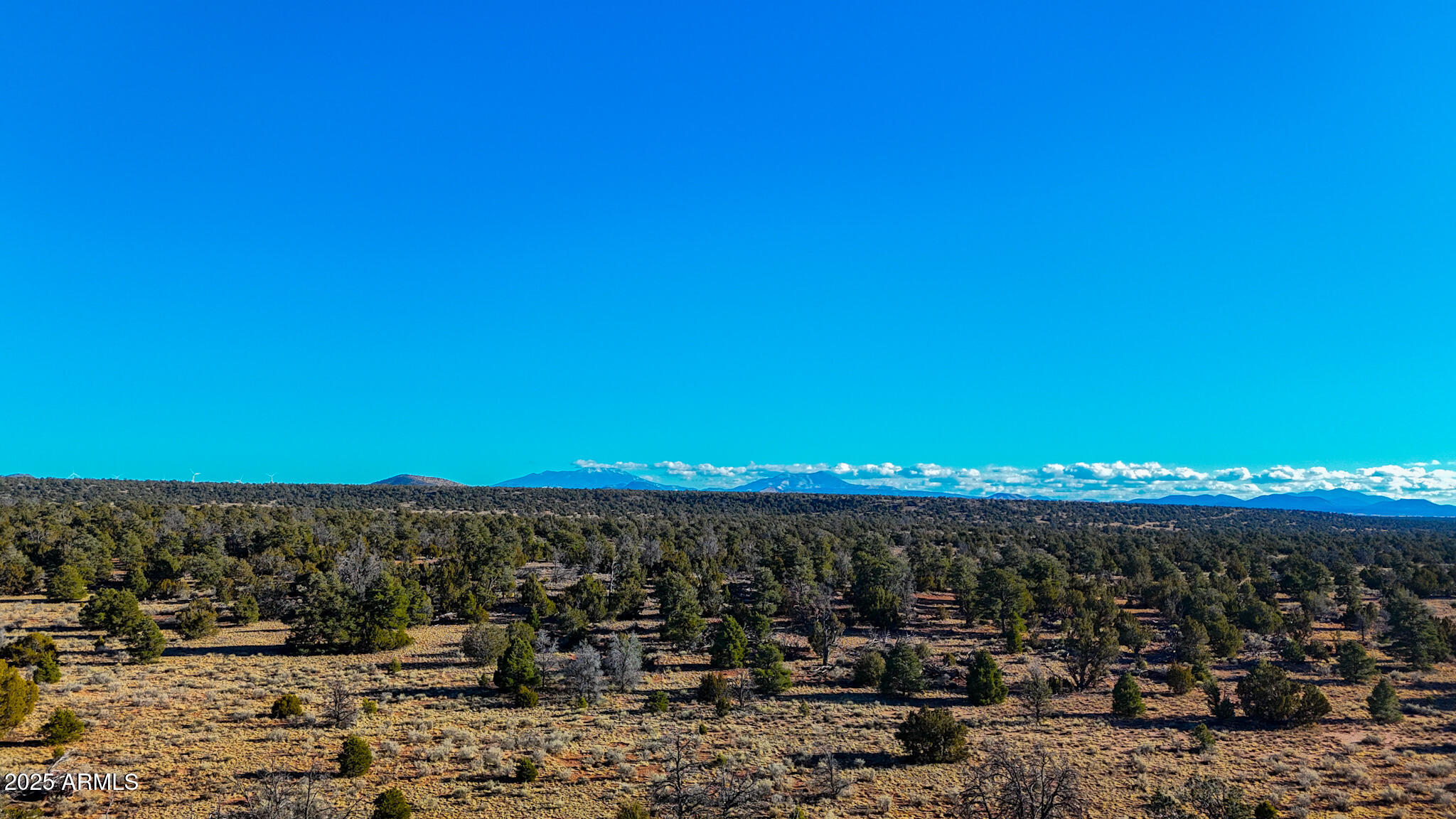 Woodland Ranch - Land