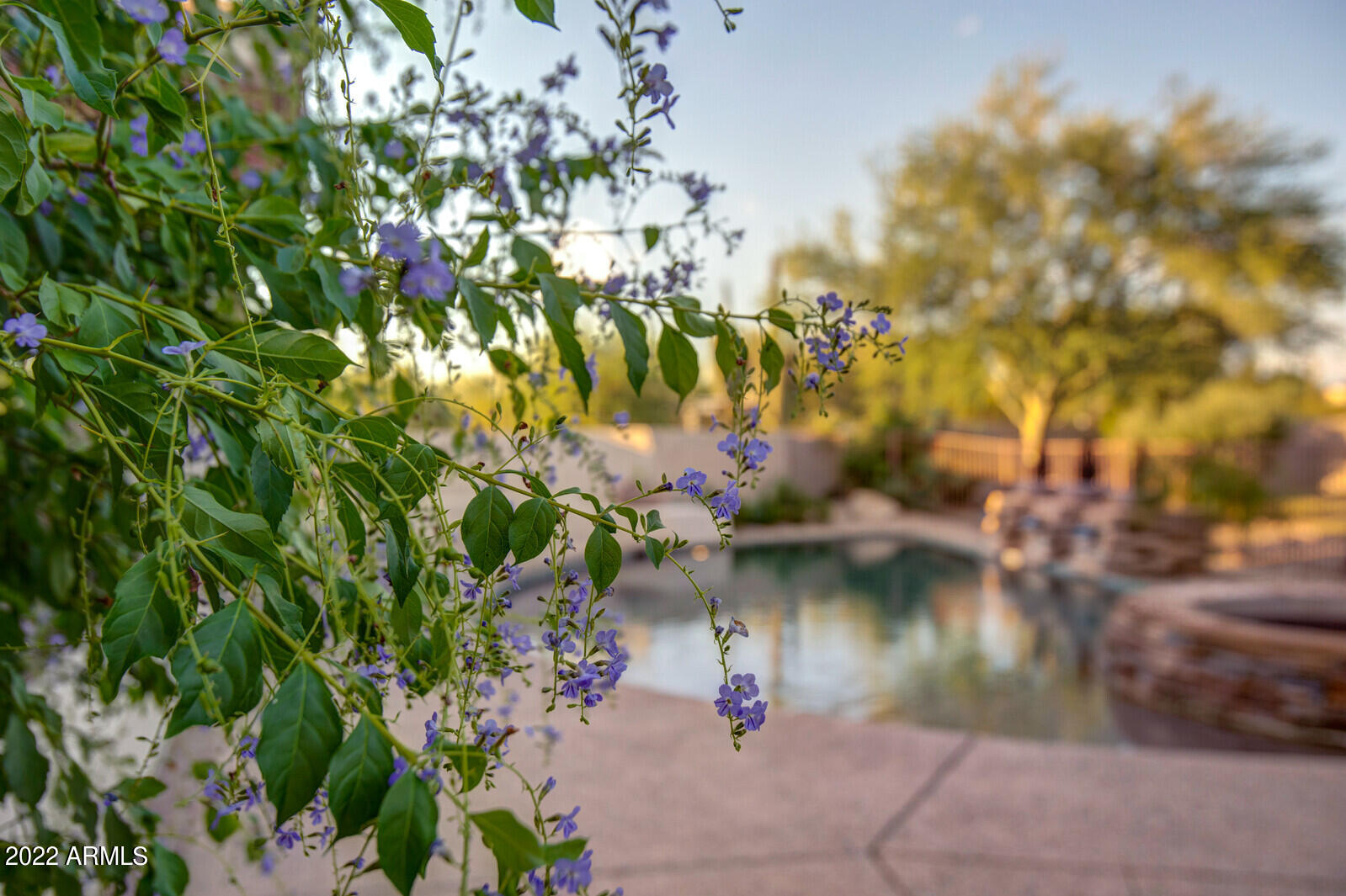 LOS GATOS - Residential
