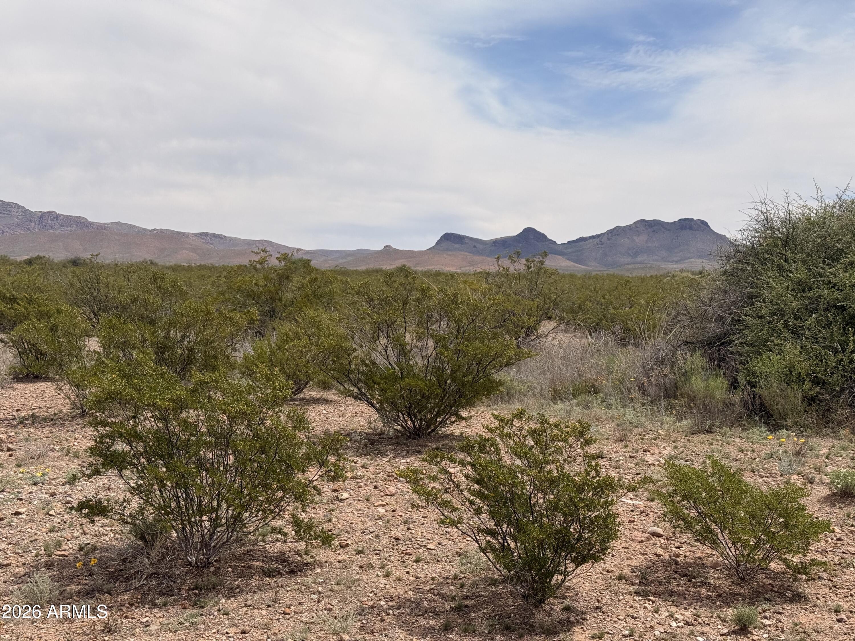 COCHISE COLLEGE PARK 10 - Land