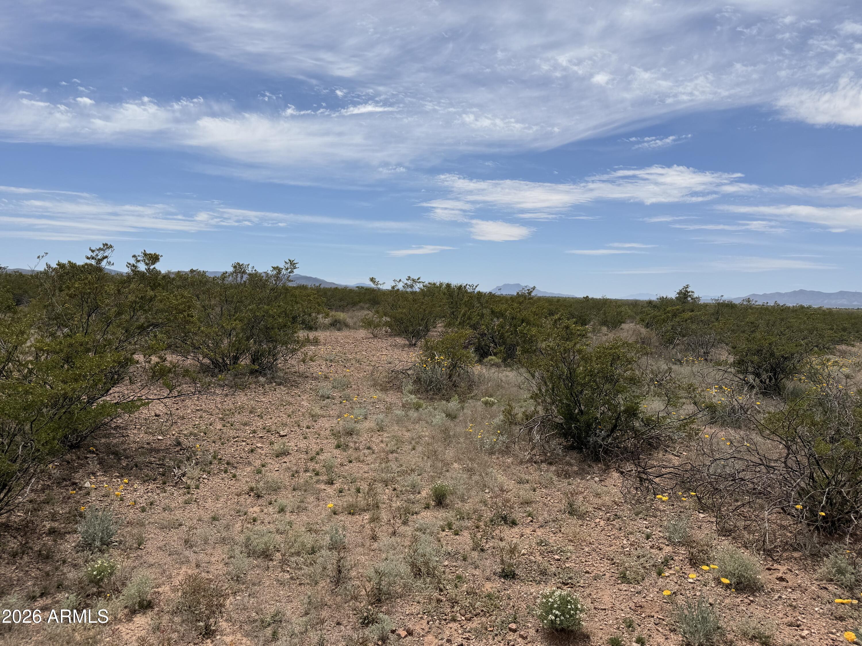 COCHISE COLLEGE PARK 10 - Land