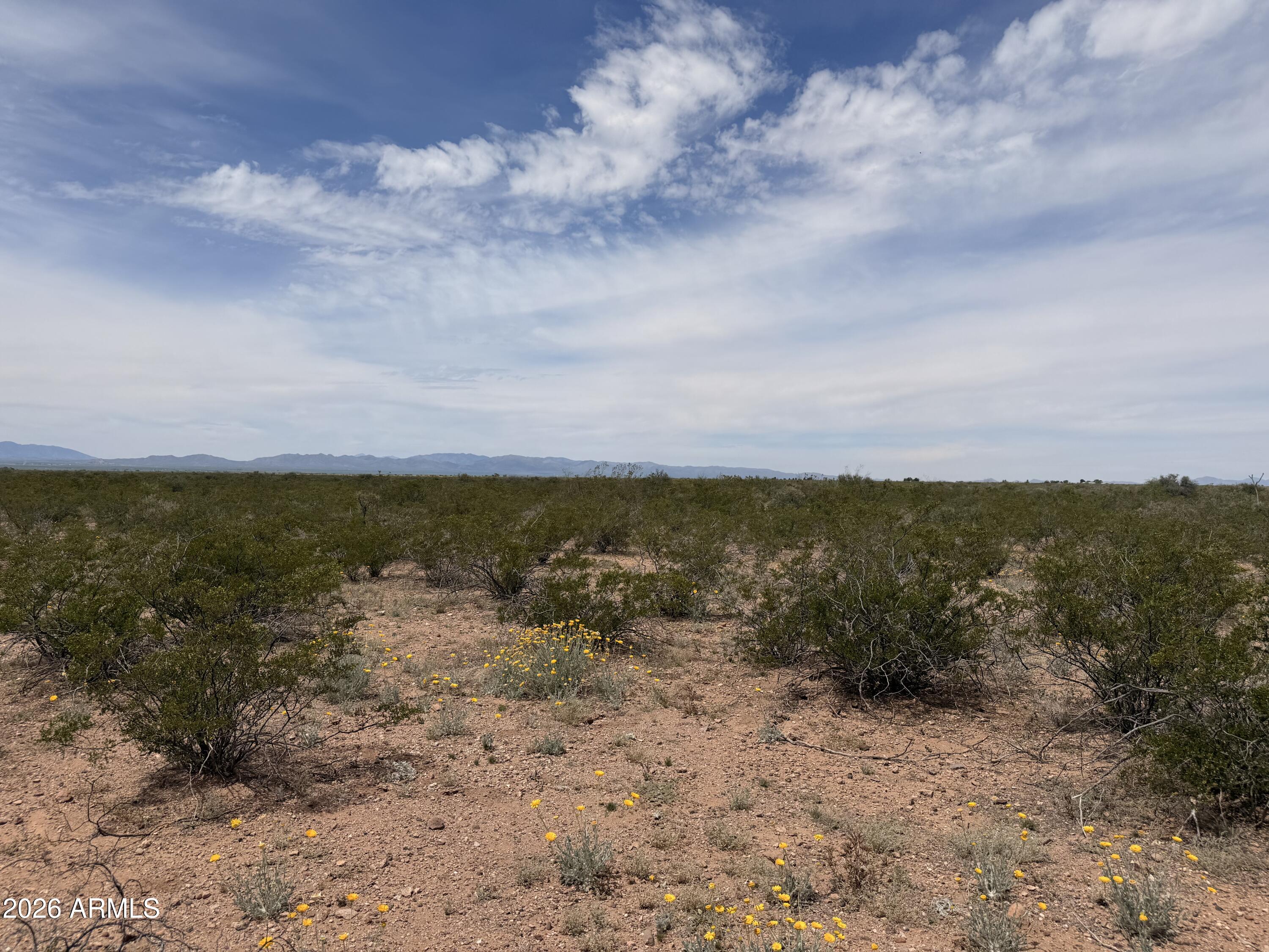COCHISE COLLEGE PARK 10 - Land