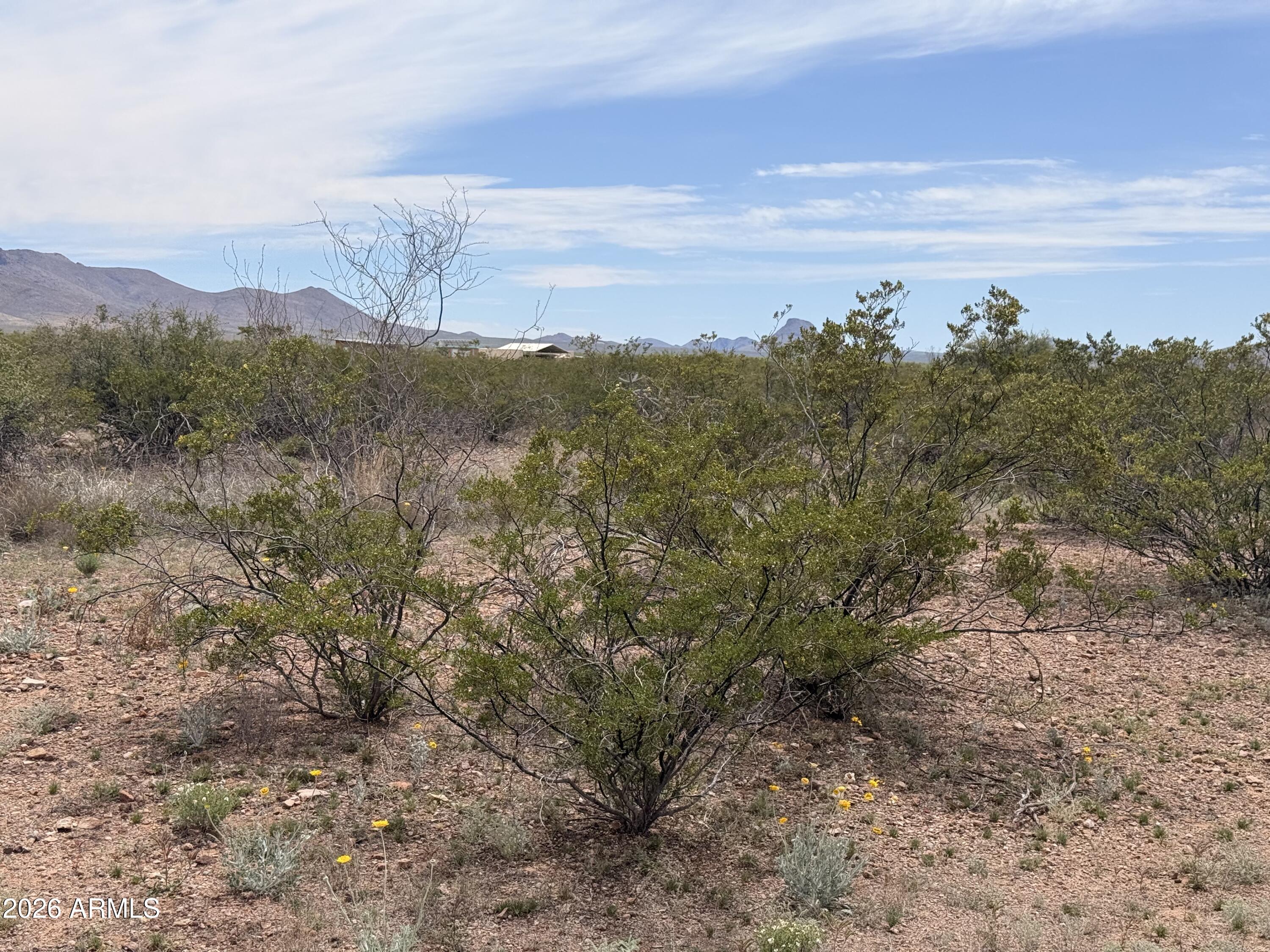 COCHISE COLLEGE PARK 10 - Land