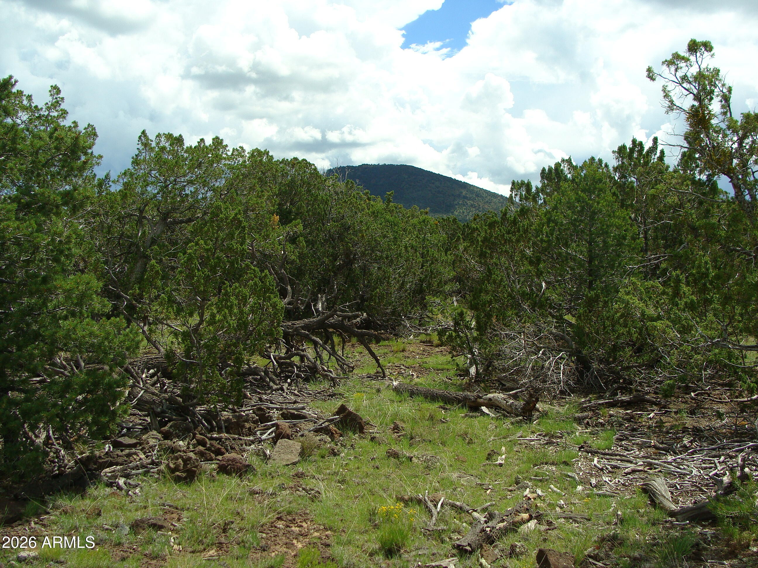 Bridge Canyon is one of those rare subdivision where you actually feel like you live in the
wild. However, there is a club house for holiday get togethers with other residents. This
beautiful lot has character, trees, views and all that comes with being in the wild.
