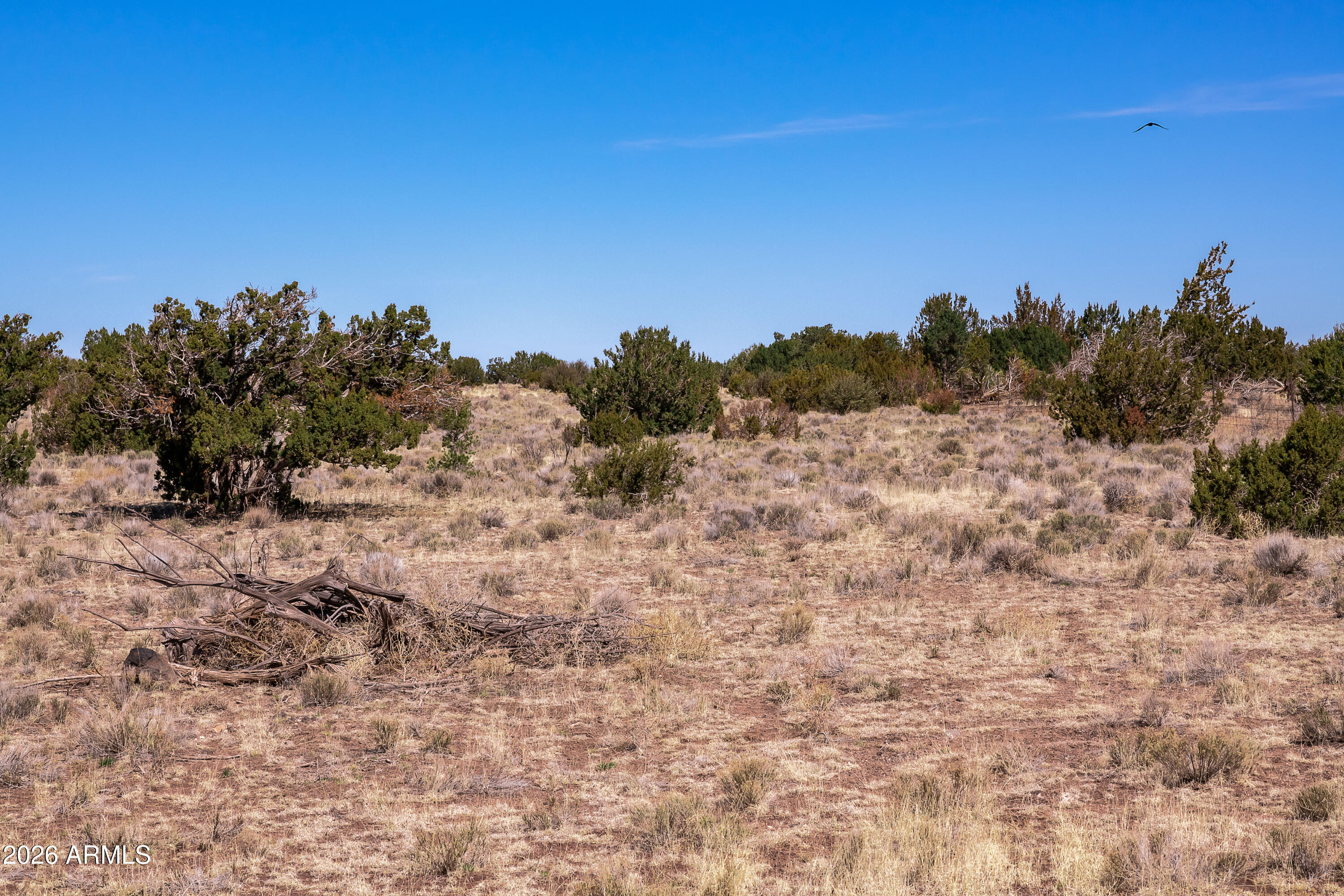 BRIDGE CANYON COUNTRY ESTATES UNIT 23 - Land