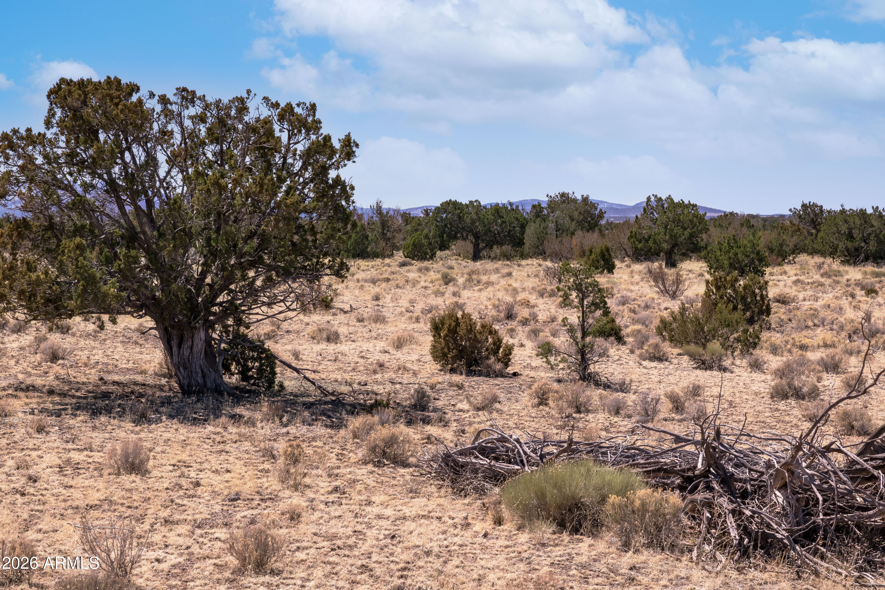 BRIDGE CANYON COUNTRY ESTATES UNIT 23 - Land