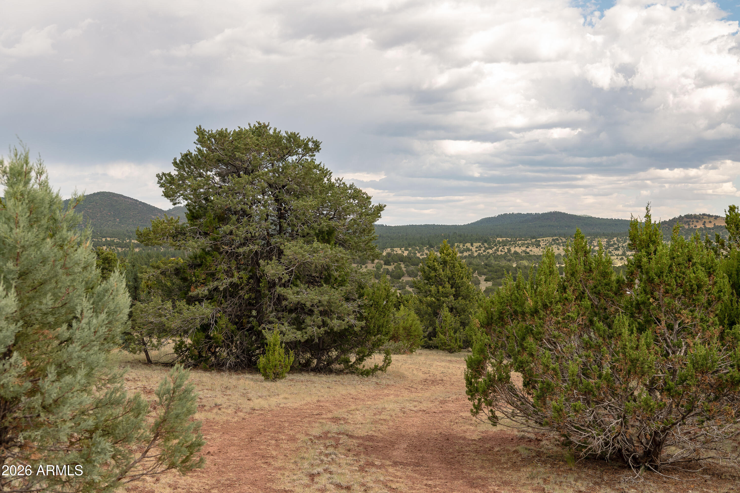 BRIDGE CANYON COUNTRY ESTATES UNIT 23 - Land