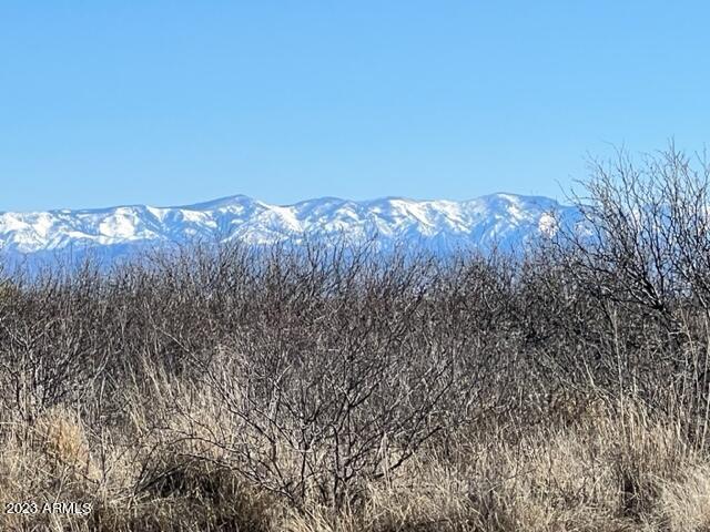 CHIRICAHUA TRAIL RANCHES APACHE - Land