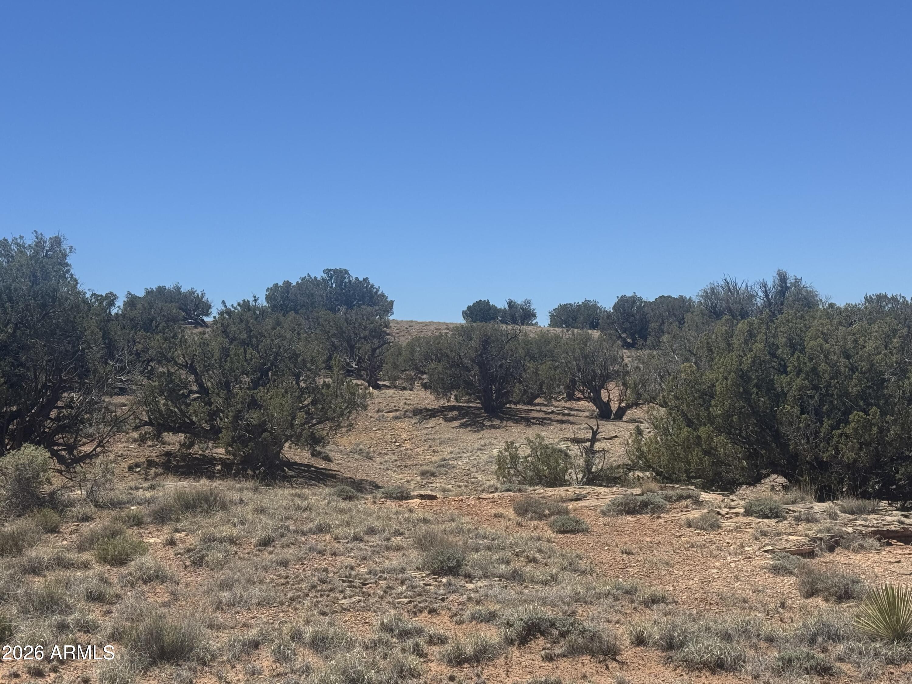 WOODRIDGE RANCH UNIT 8 - Land