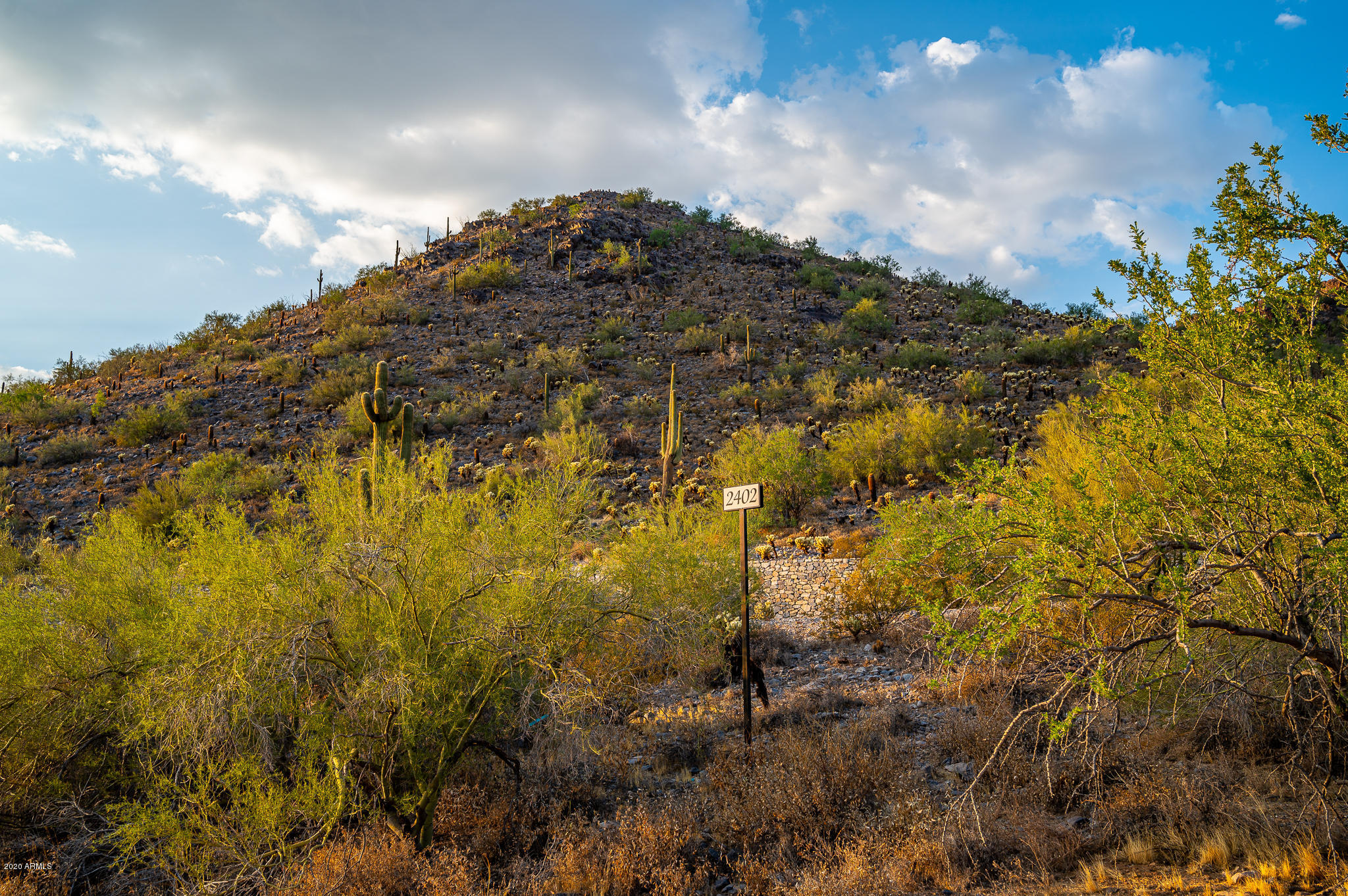 Silverleaf at DC Ranch - Land