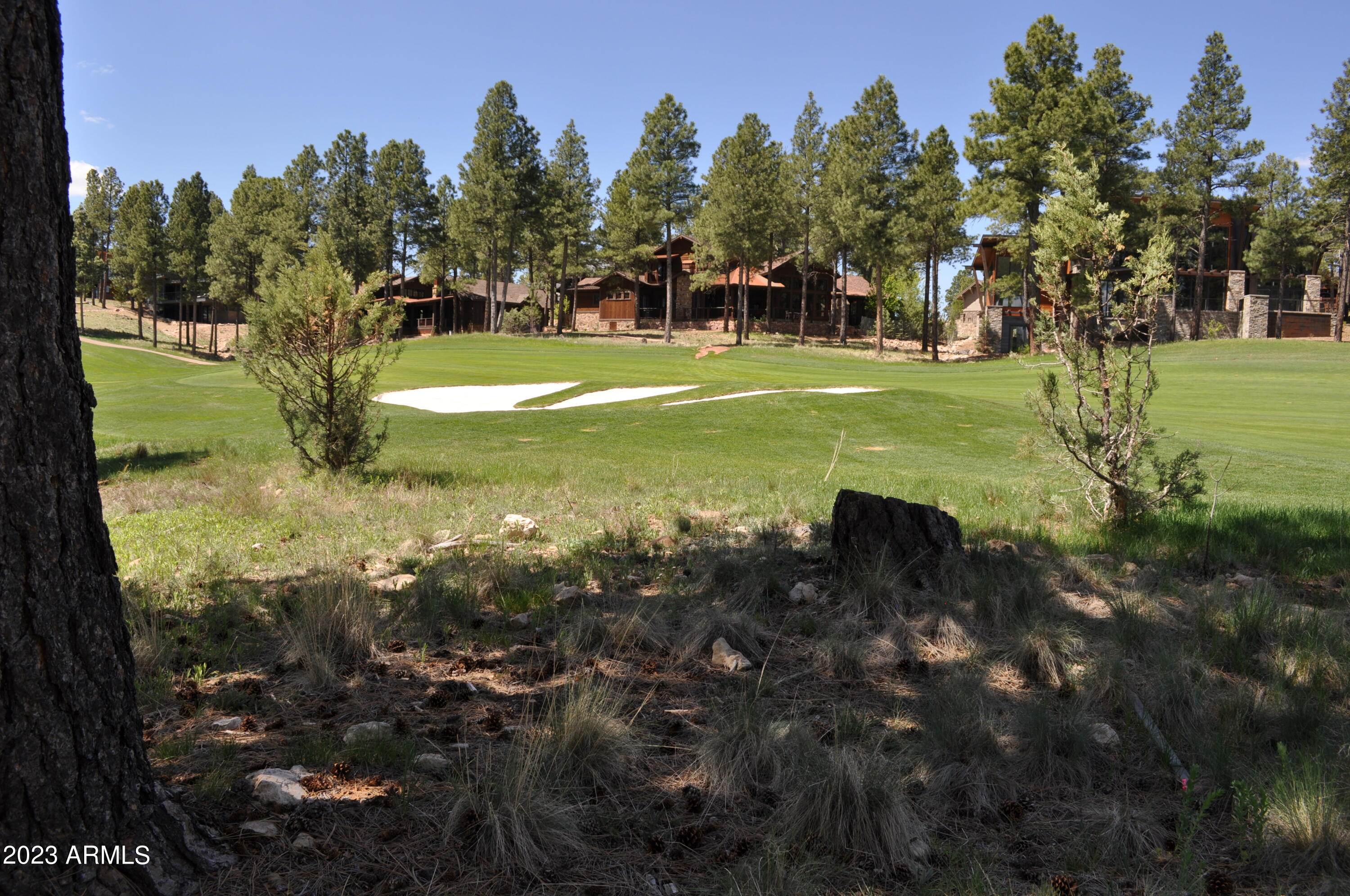 Pine Canyon - Land