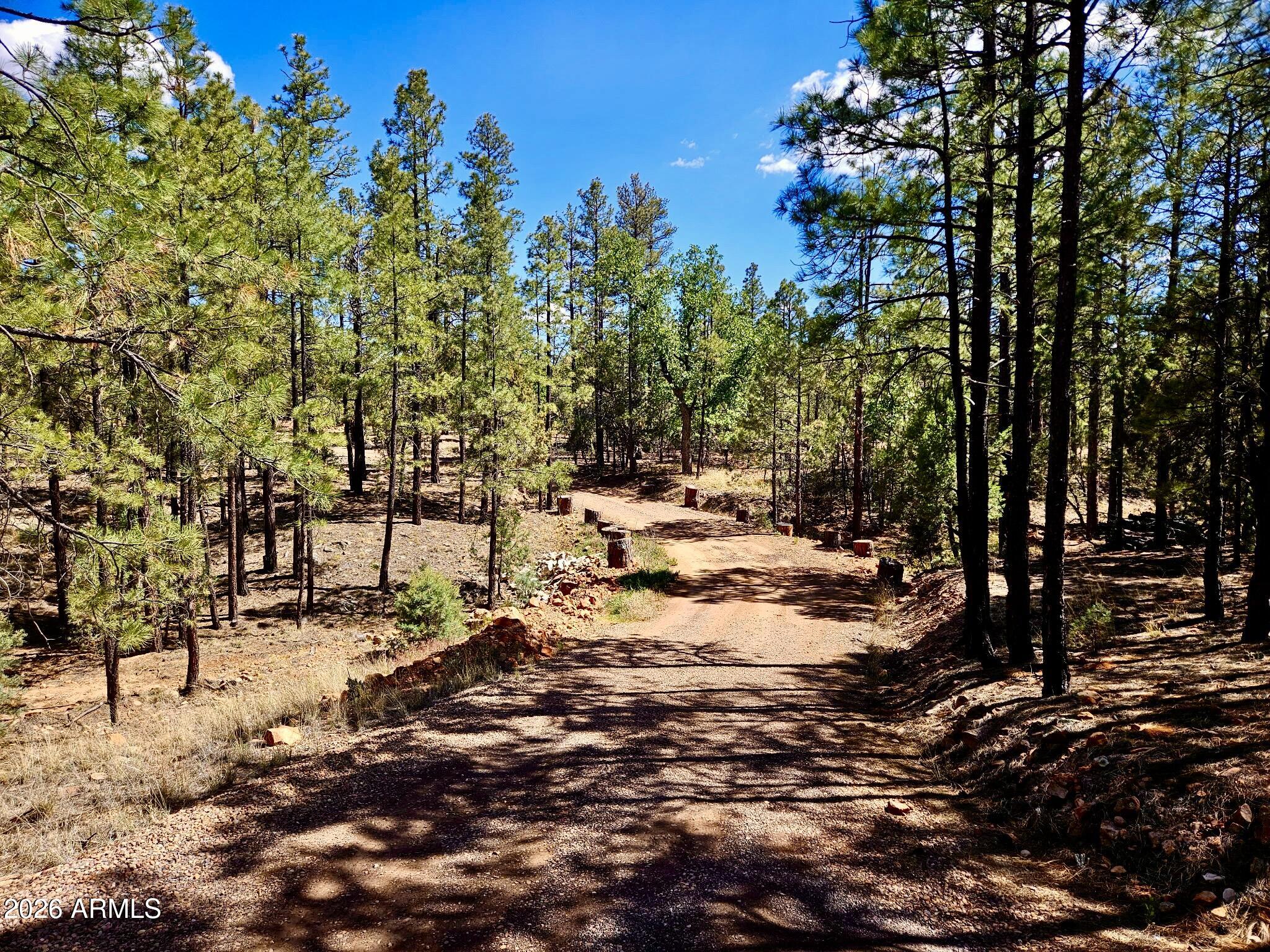 Custom Home with No HOA - Residential
