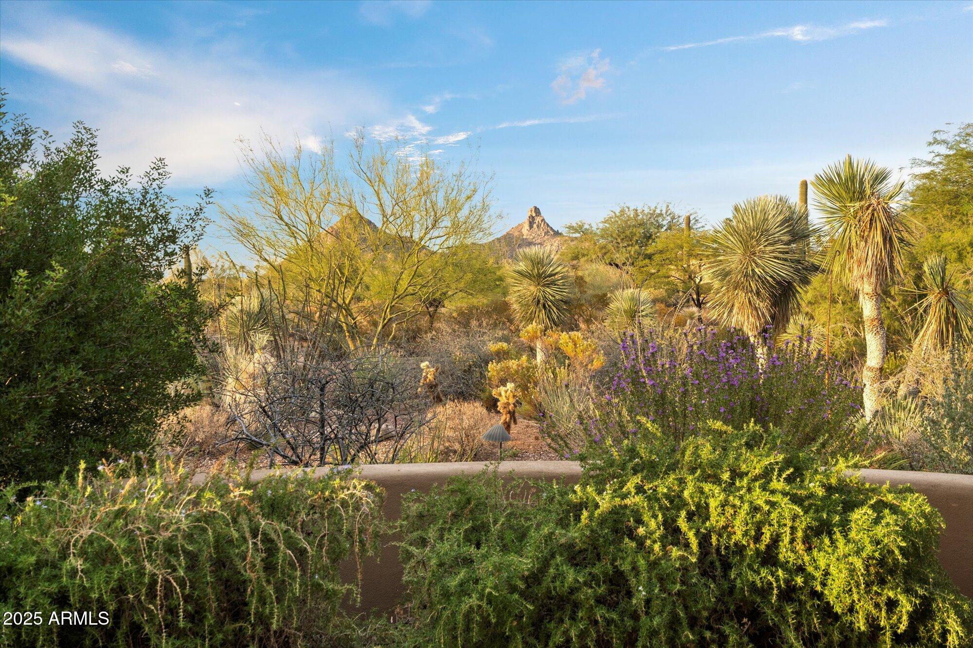 Pinnacle Peak Heights - Residential