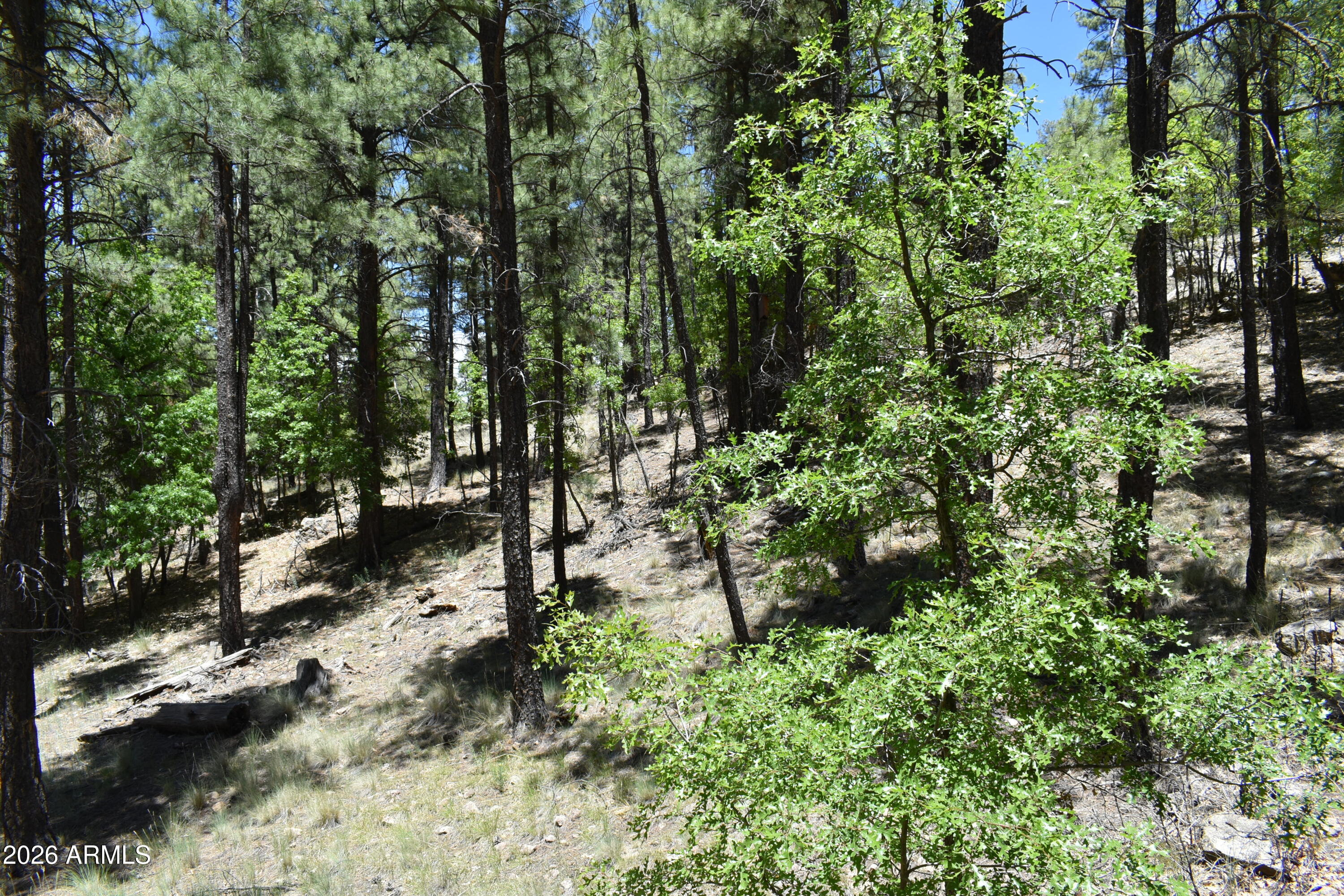 CLEAR CREEK PINES 7 - Residential