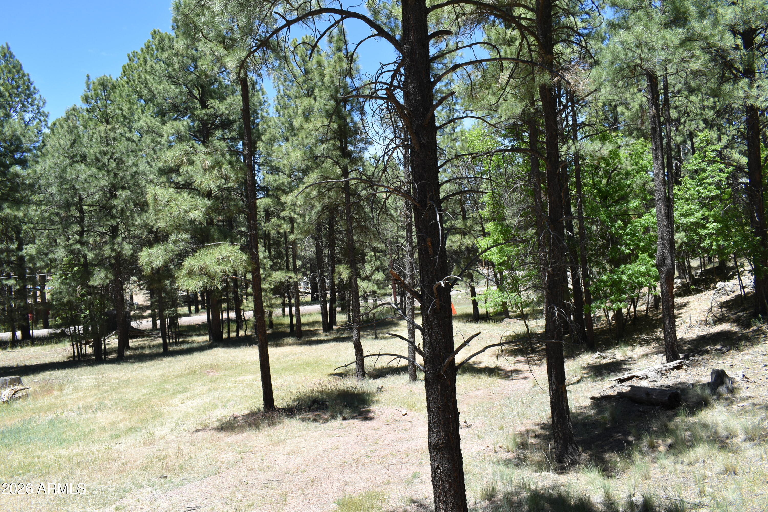 CLEAR CREEK PINES 7 - Residential