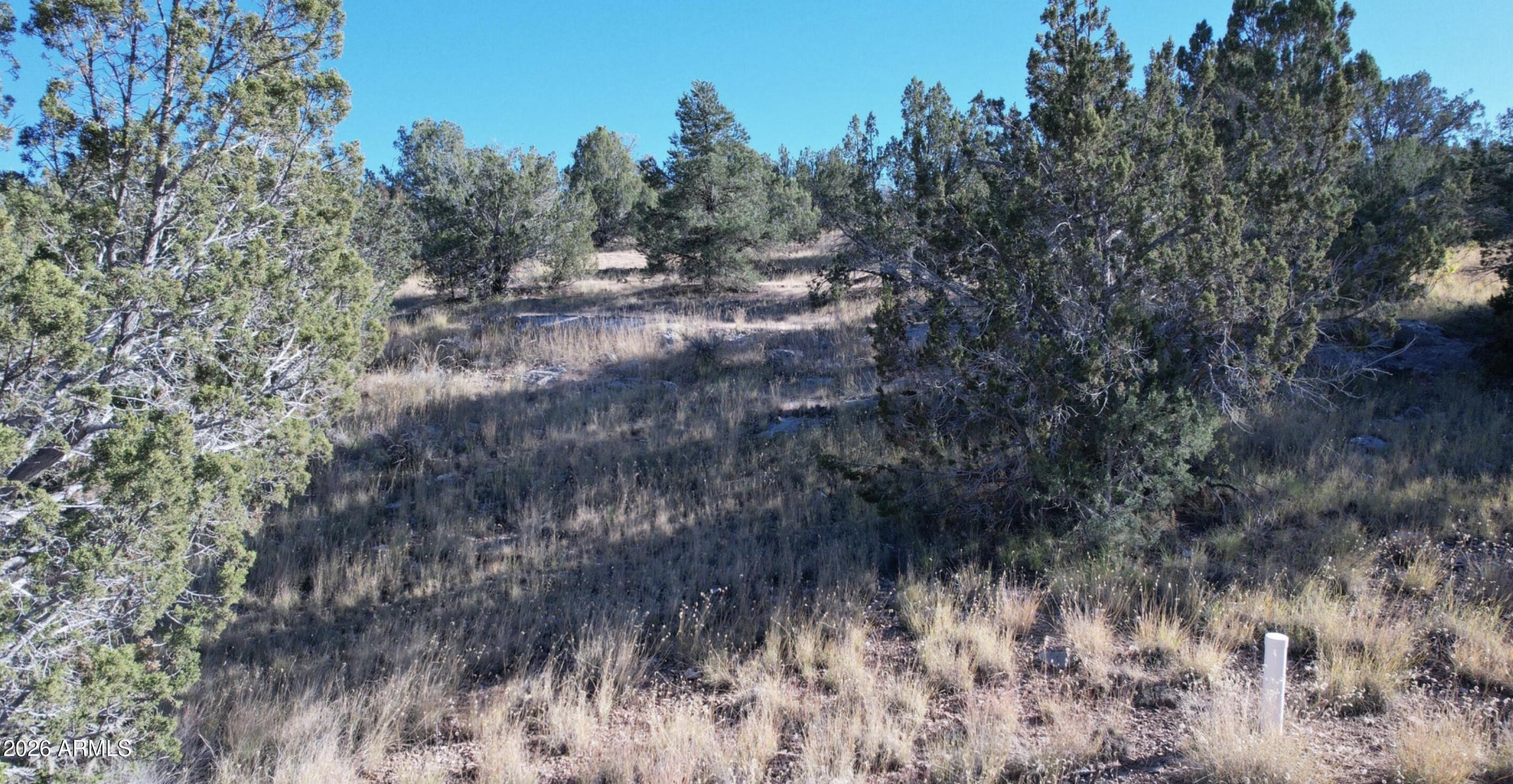 BRIDGE CANYON COUNTRY ESTATES UNIT 21 - Land