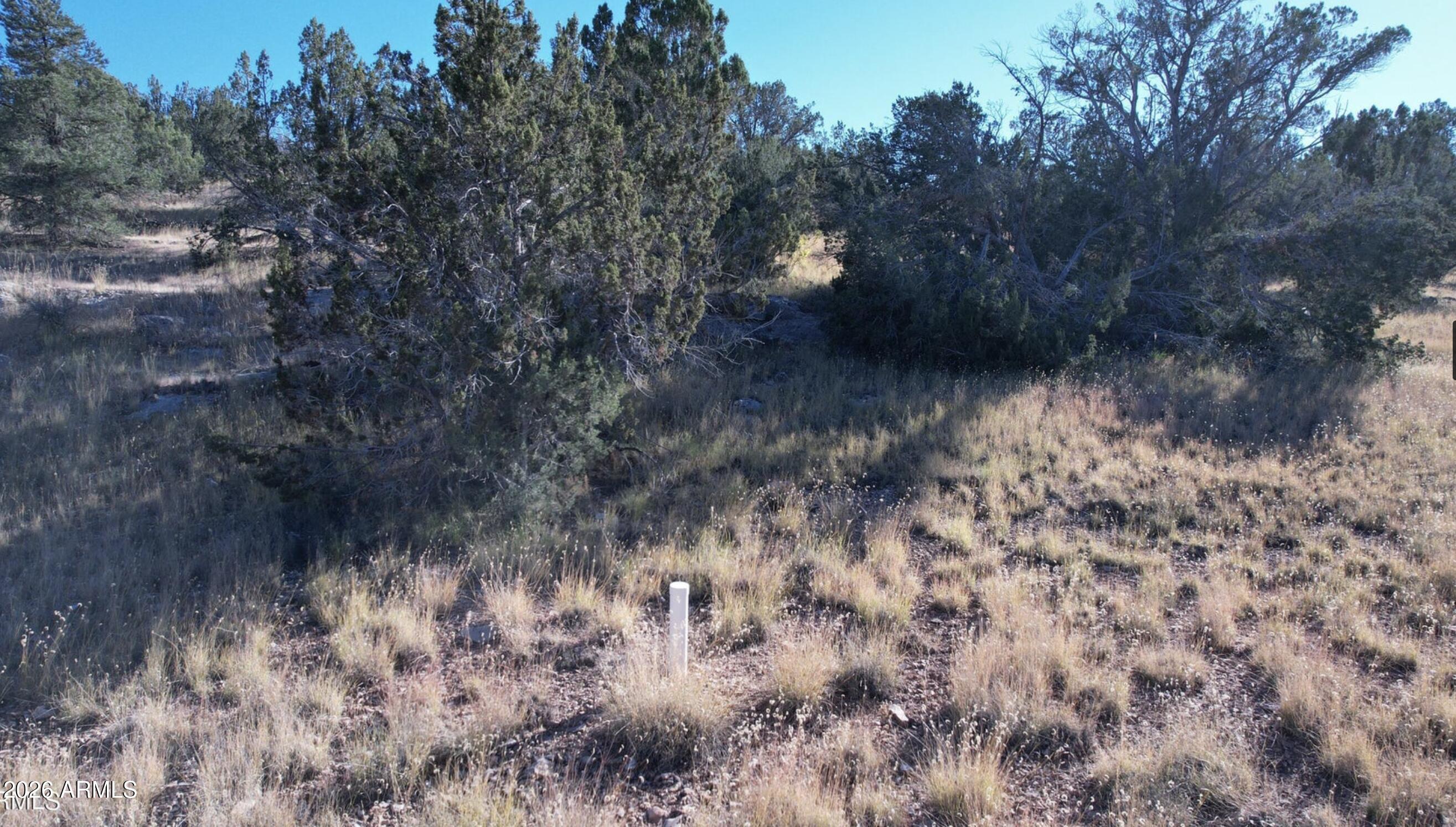 BRIDGE CANYON COUNTRY ESTATES UNIT 21 - Land