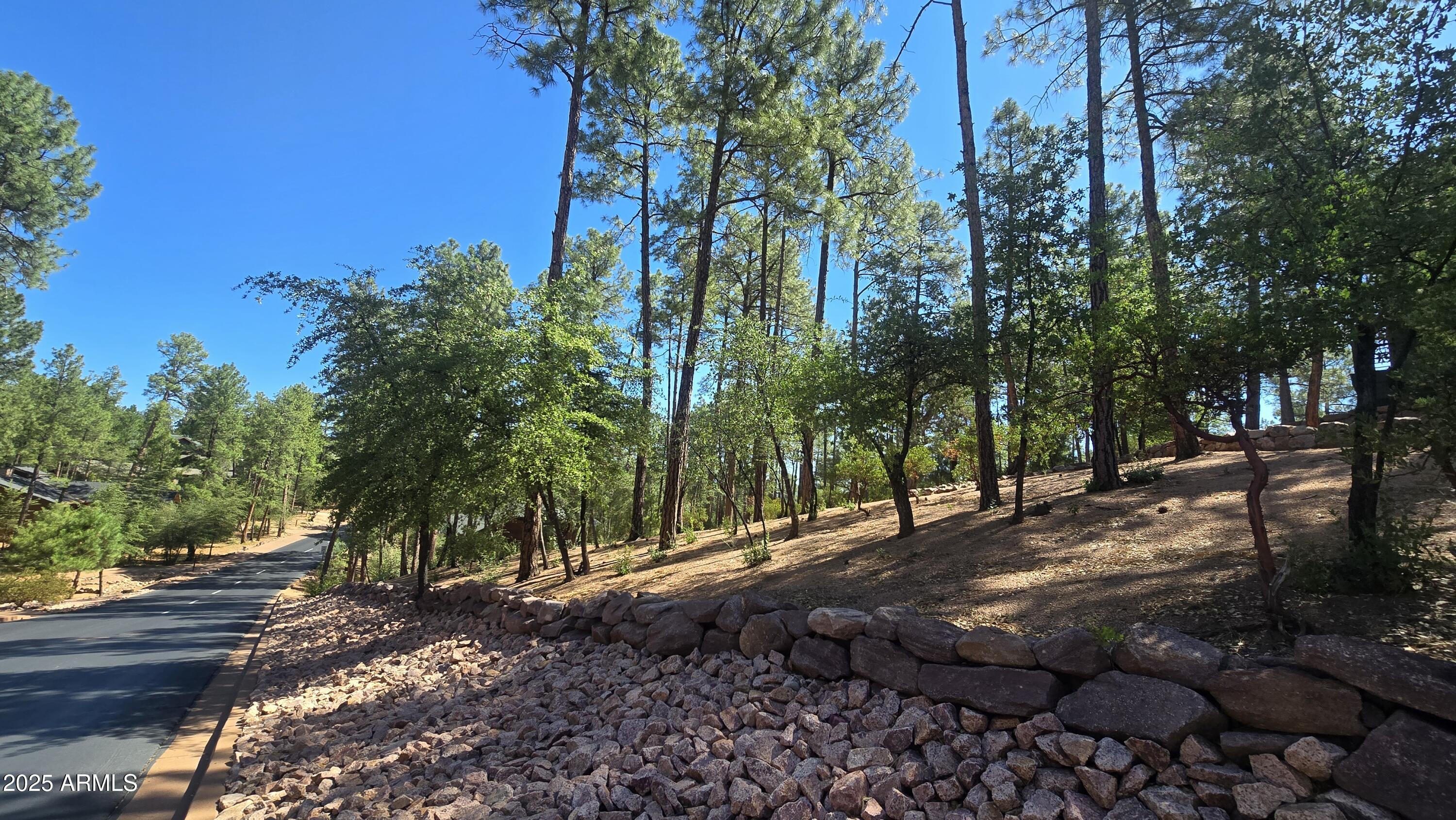 Chaparral Pines - Land