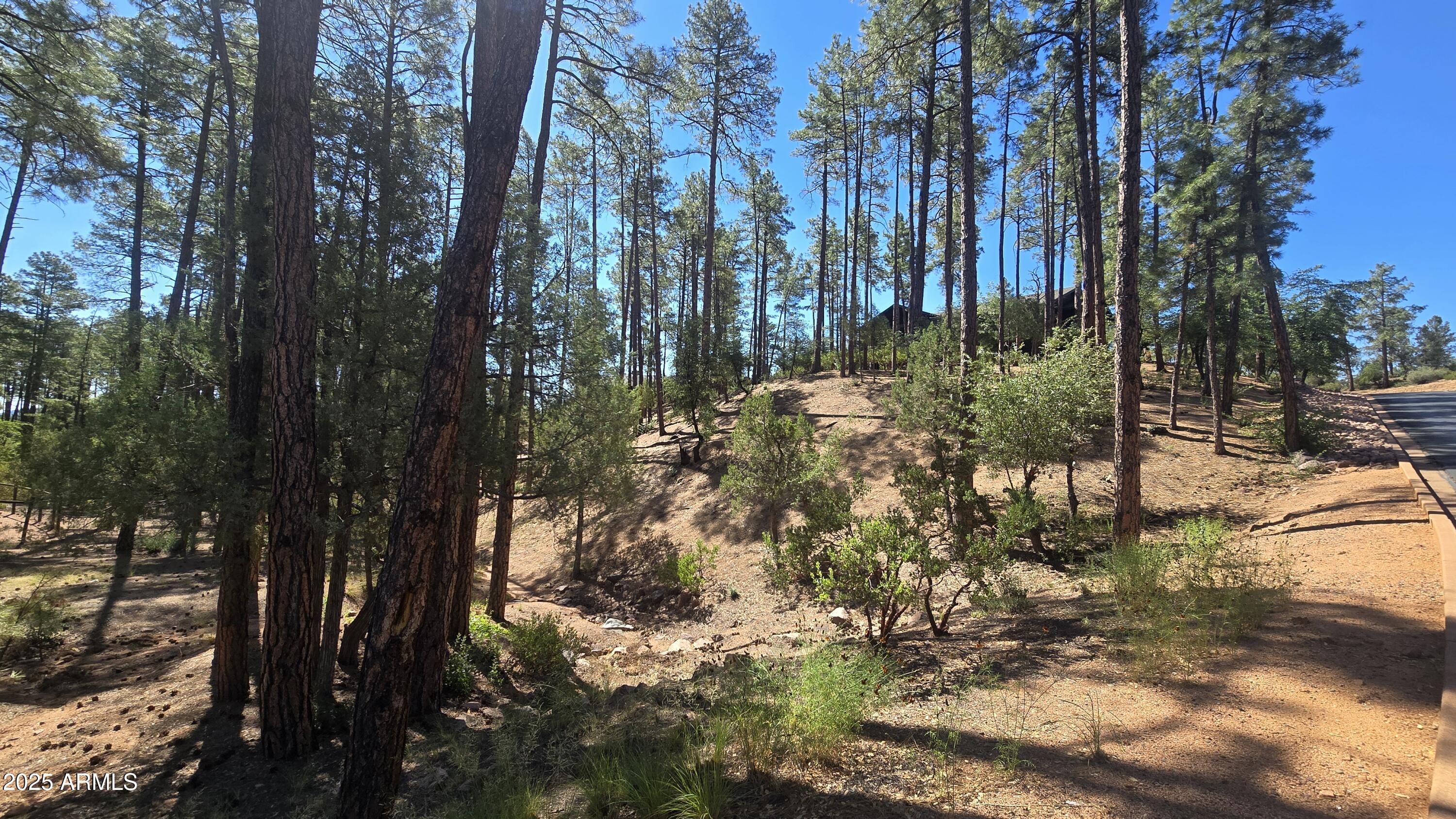 Chaparral Pines - Land