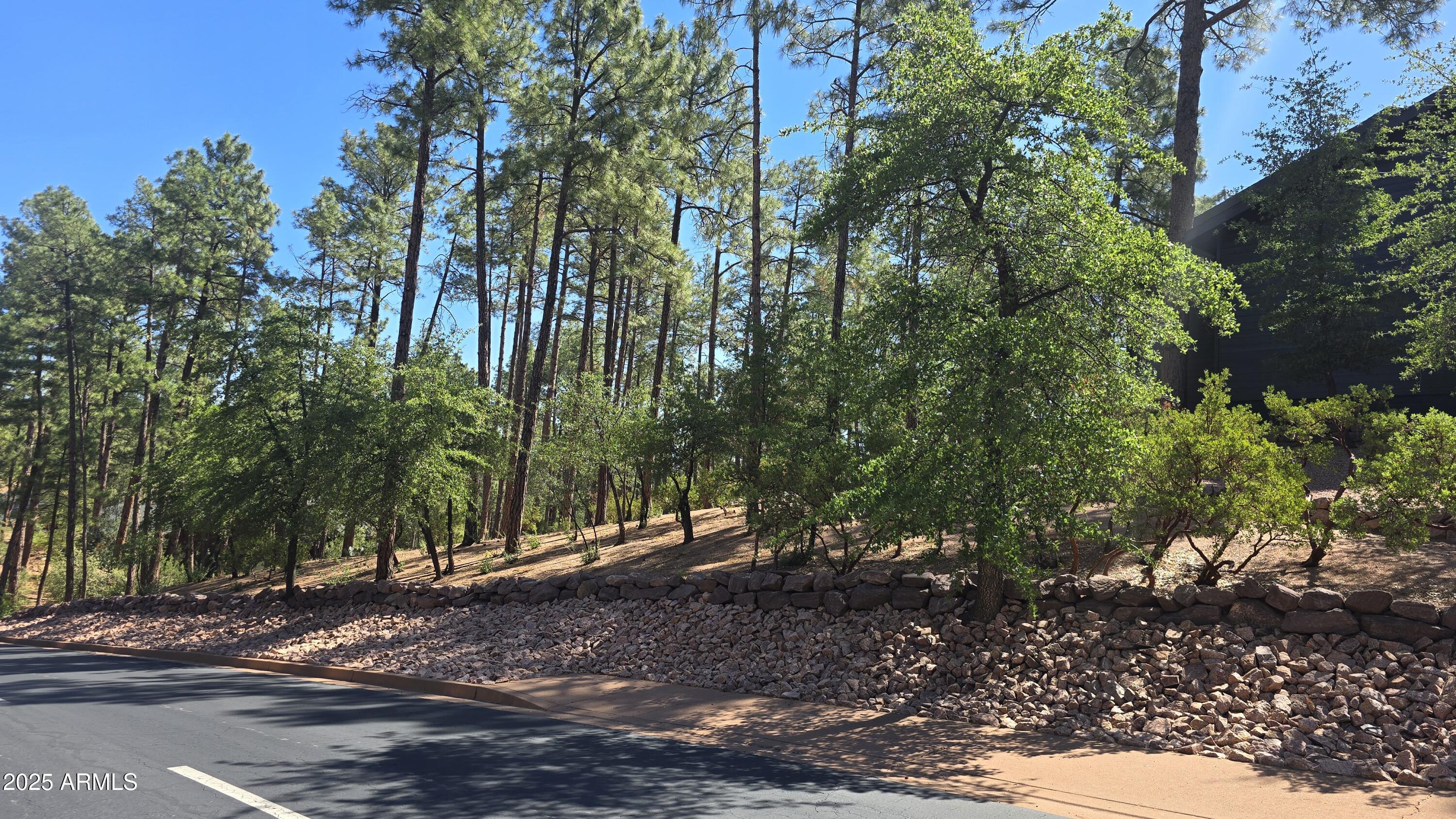 Chaparral Pines - Land