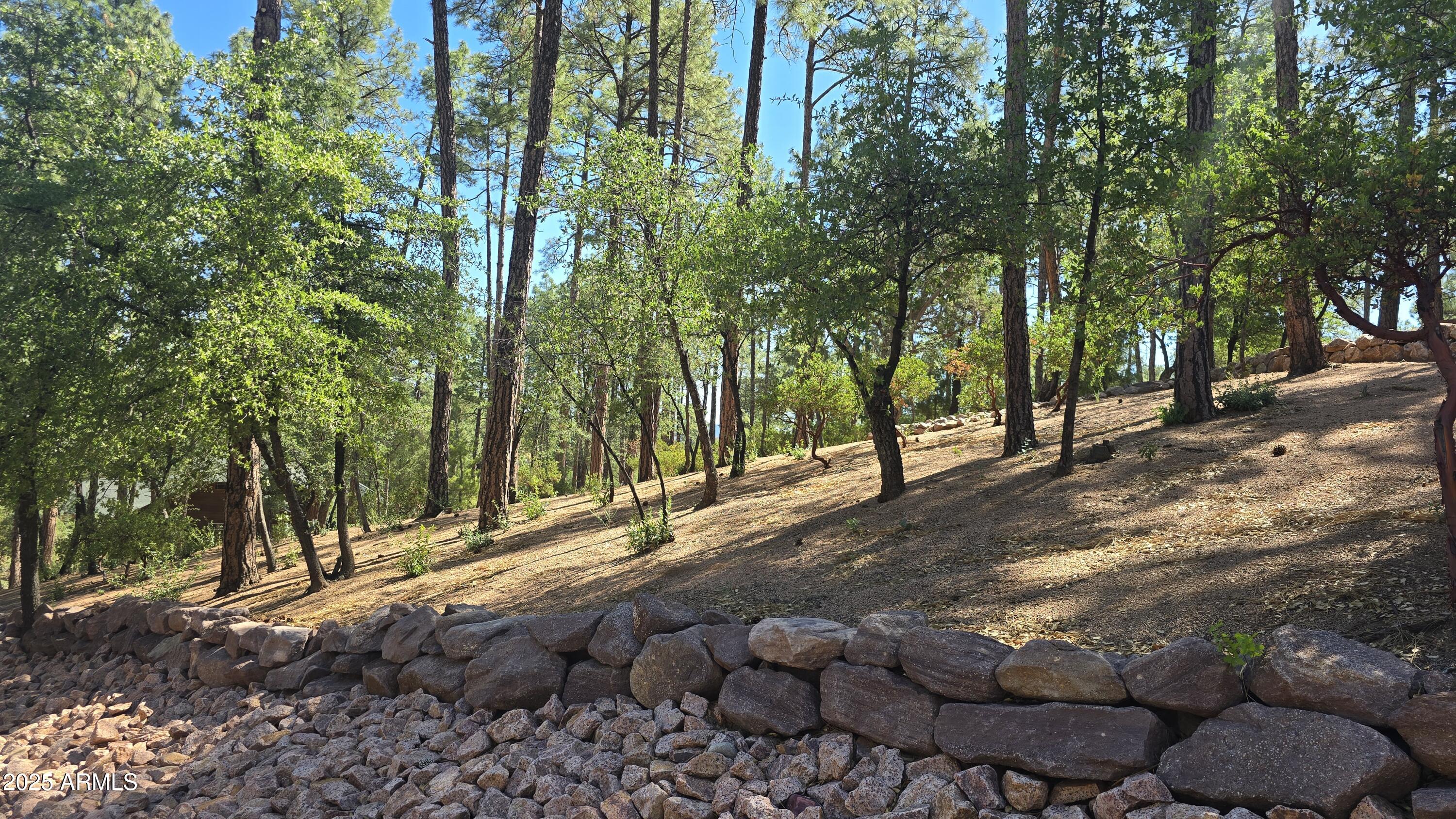 Chaparral Pines - Land