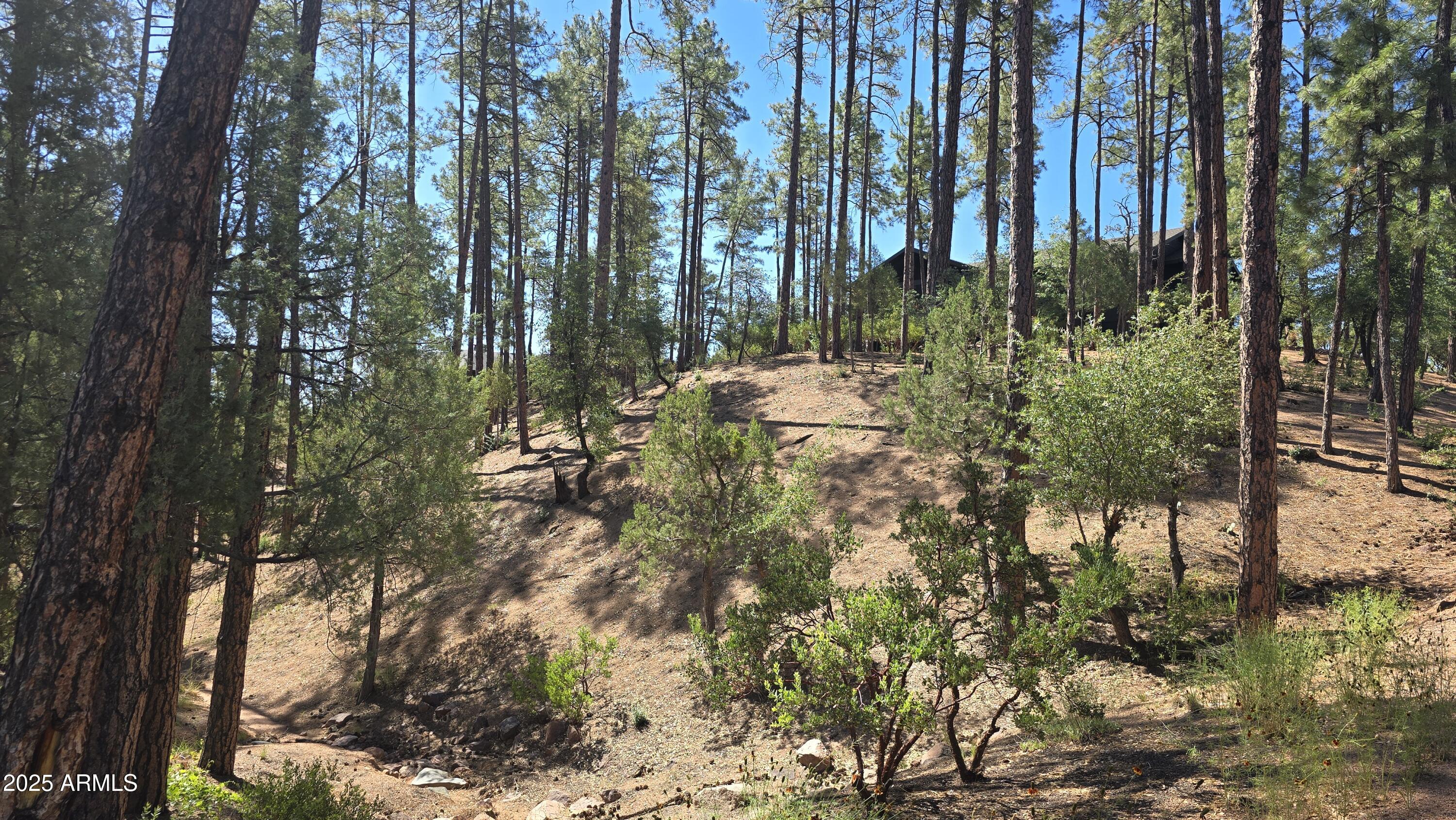 Chaparral Pines - Land
