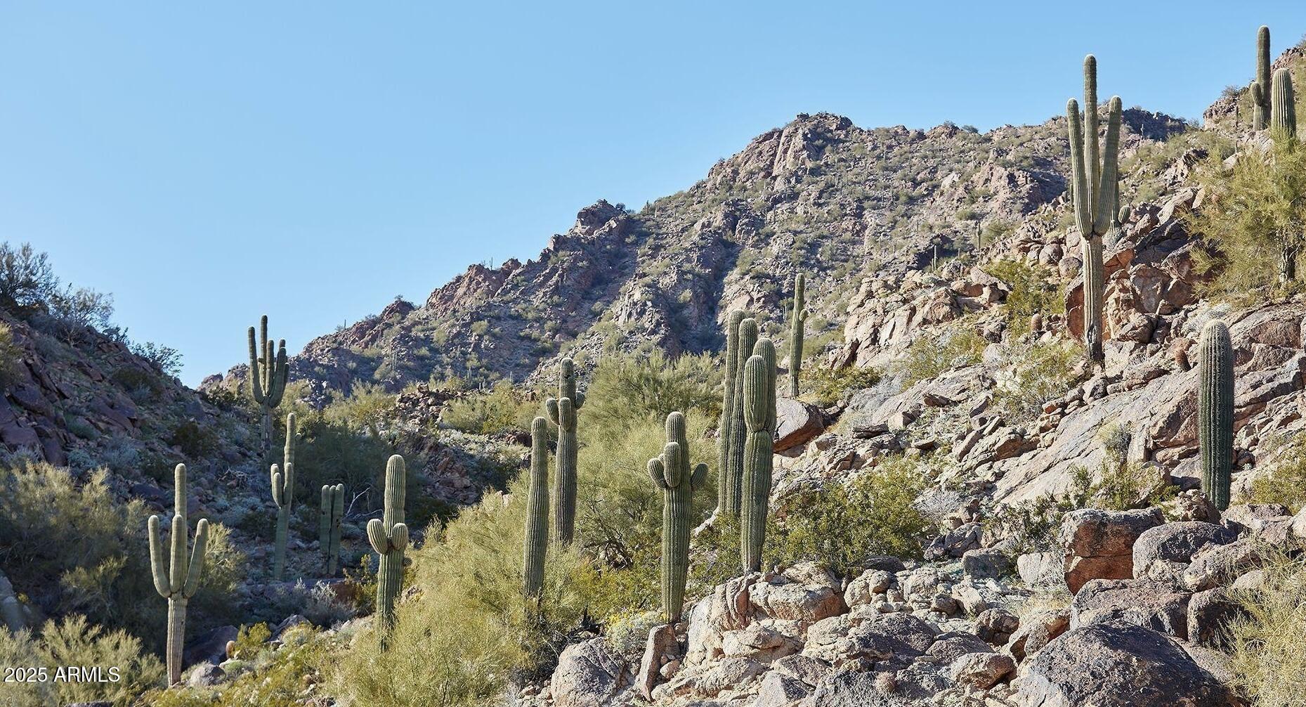 Ascent at The Phoenician - Residential