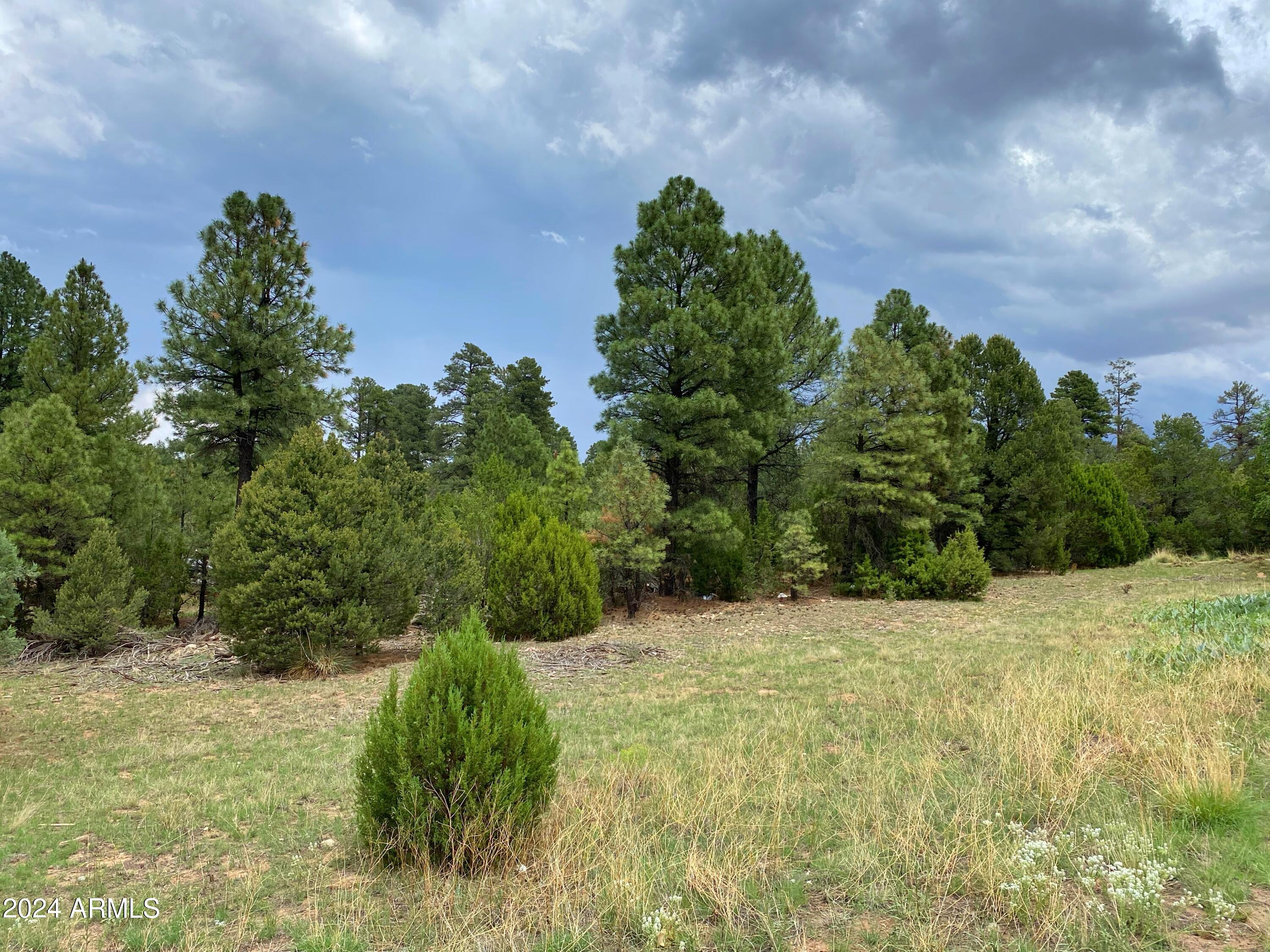 Great opportunity for a commercial property right on the 277. Zoned C-R with nicely treed lot. Come take a look!