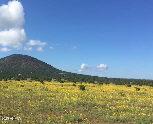 SPRING FLOWER RANCH - Land