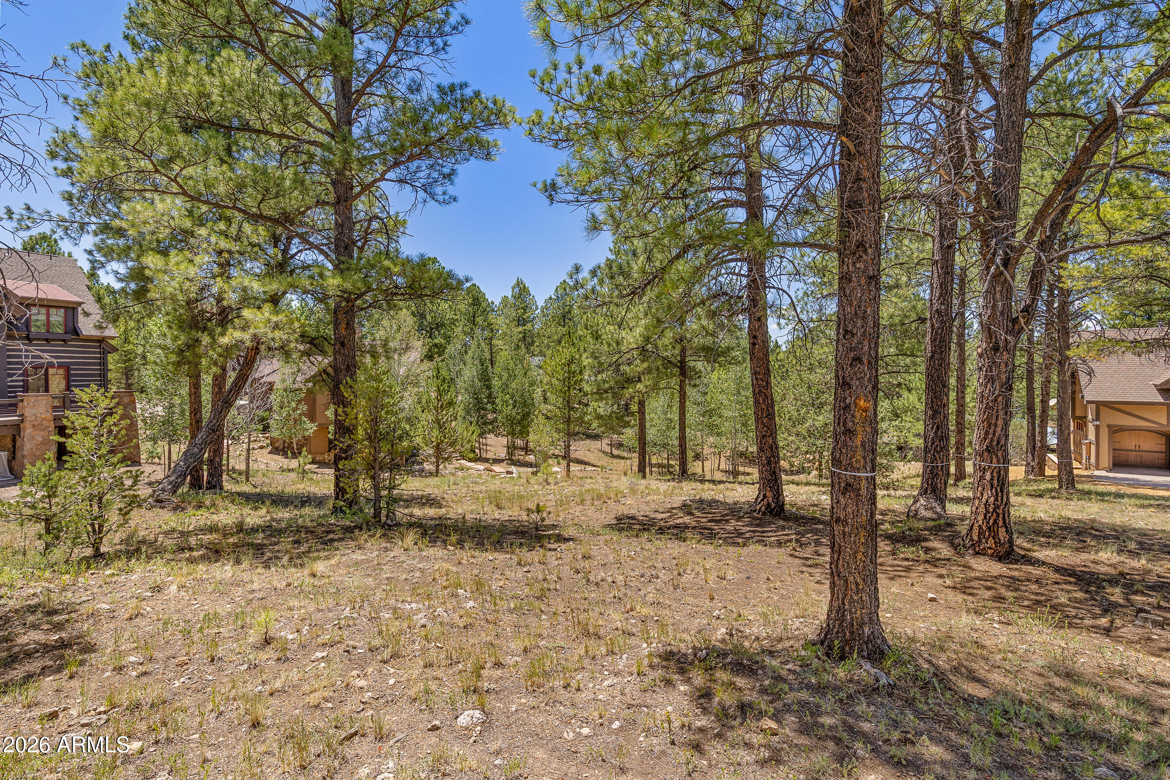 ESTATES AT PINE CANYON 1 RESUB - Land