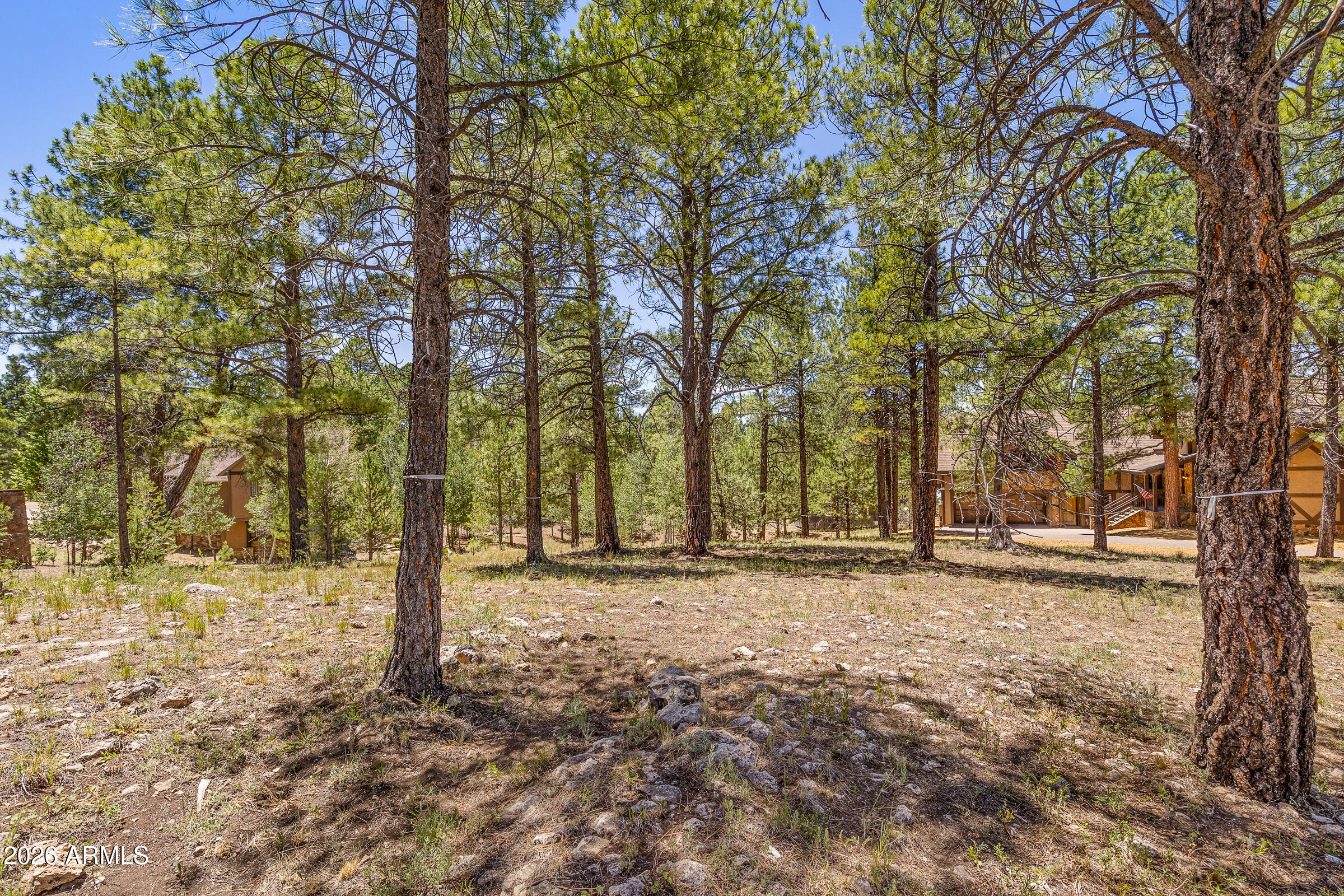 ESTATES AT PINE CANYON 1 RESUB - Land