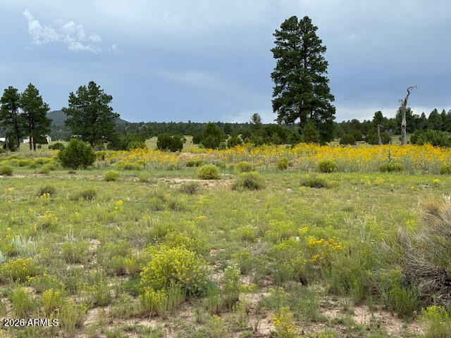 SPRING VALLEY RANCHES UNIT 2 - Land