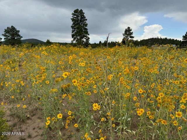 SPRING VALLEY RANCHES UNIT 2 - Land