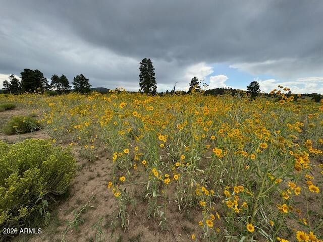 SPRING VALLEY RANCHES UNIT 2 - Land