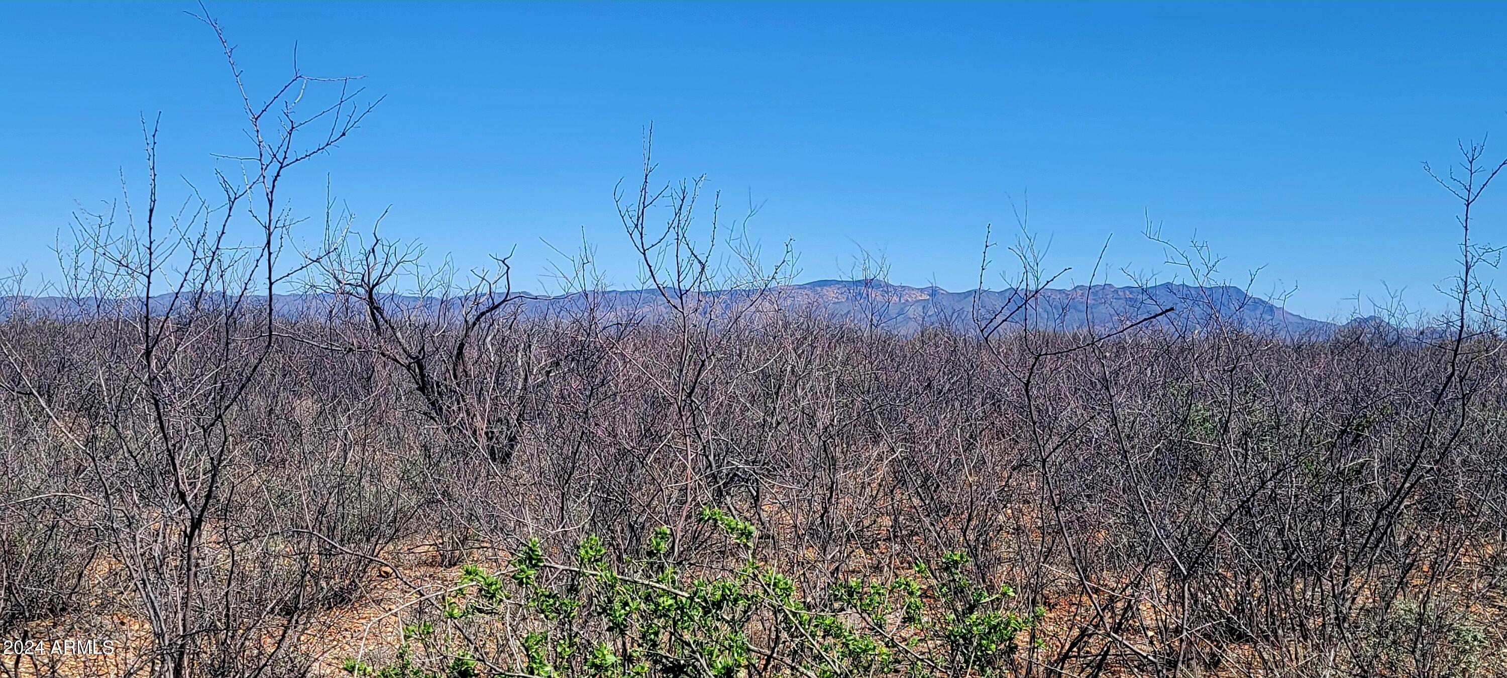 SIERRA BONITA RANCHES - Land