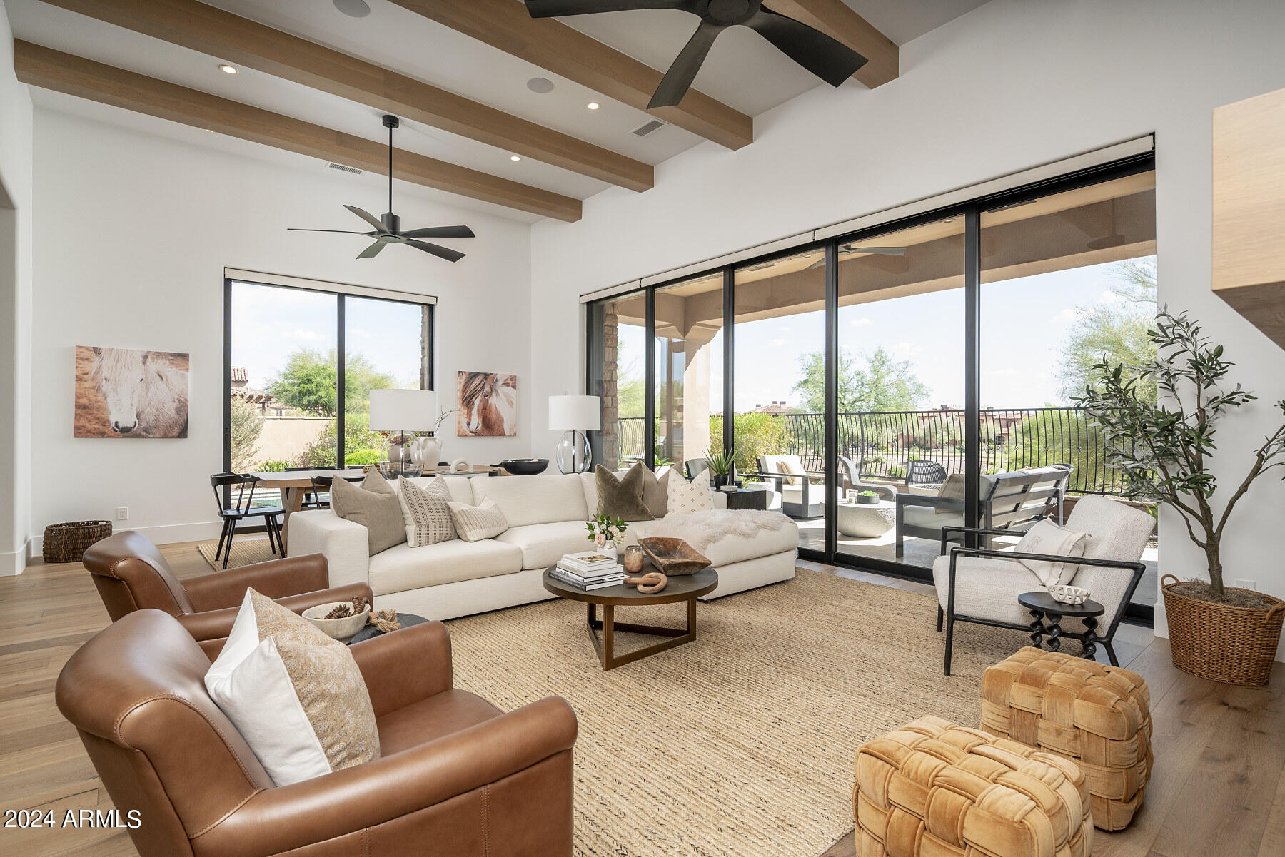 SUPERSTITION MOUNTAIN - Residential