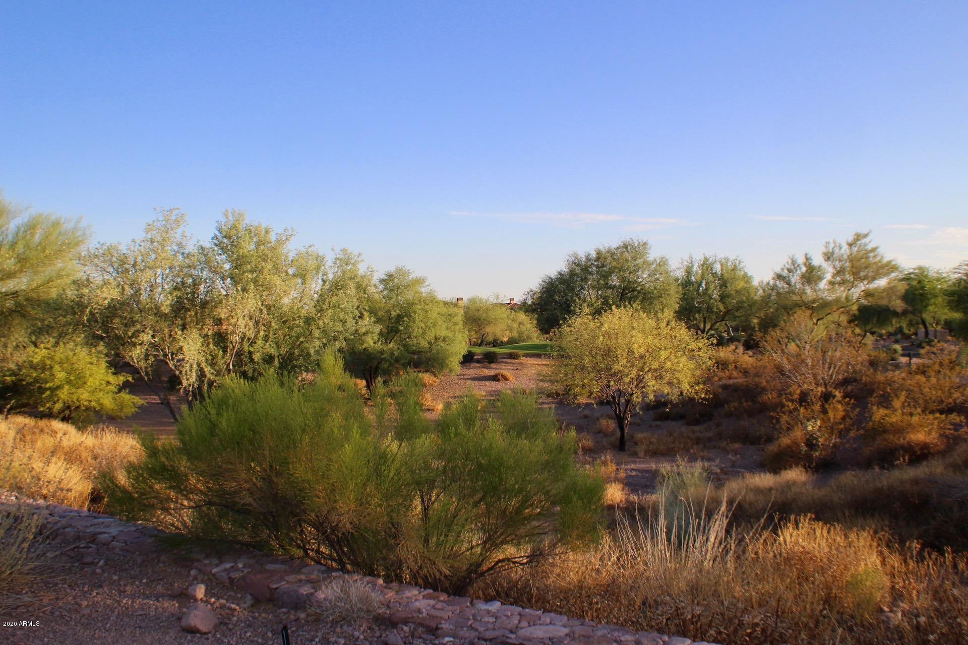 SUPERSTITION MOUNTAIN - Residential