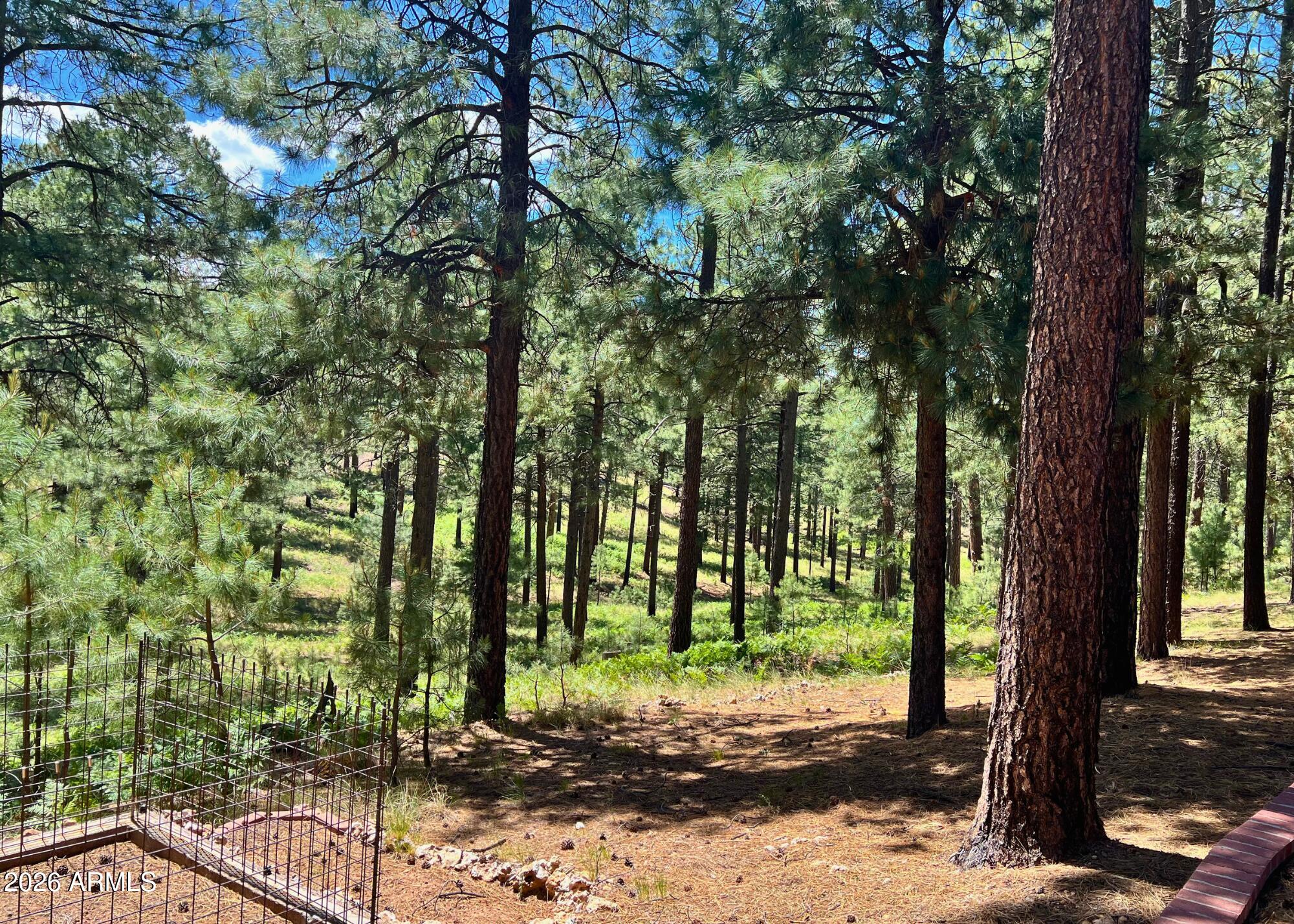FOREST LAKES ESTATES 7 - Residential