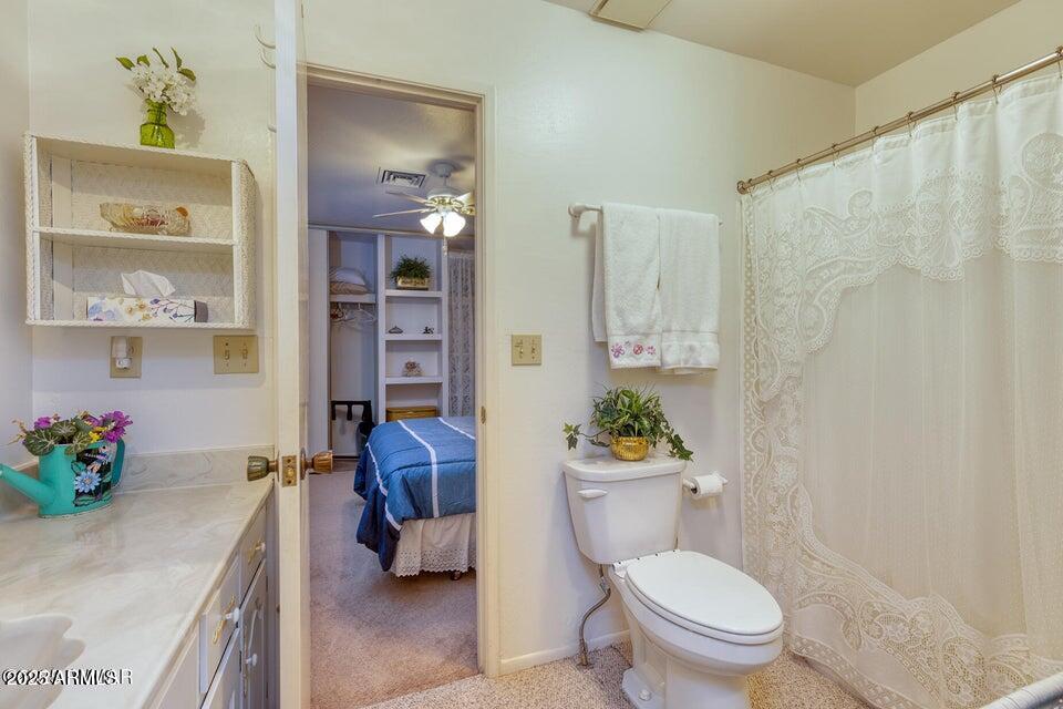 WHITE MOUNTAIN LAKES UNIT 8 - Residential