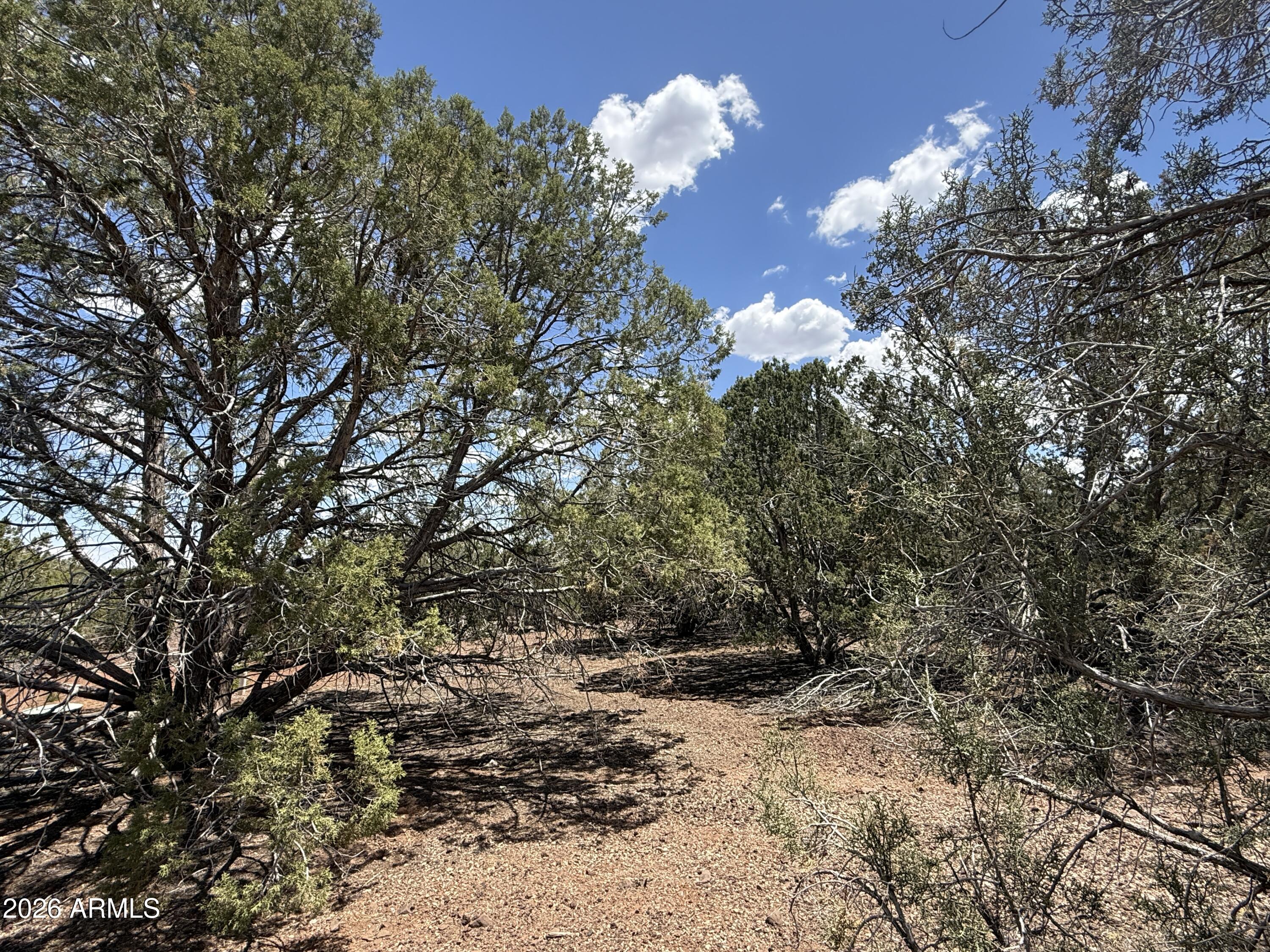WHITE MOUNTAIN LAKES UNIT 3 - Land