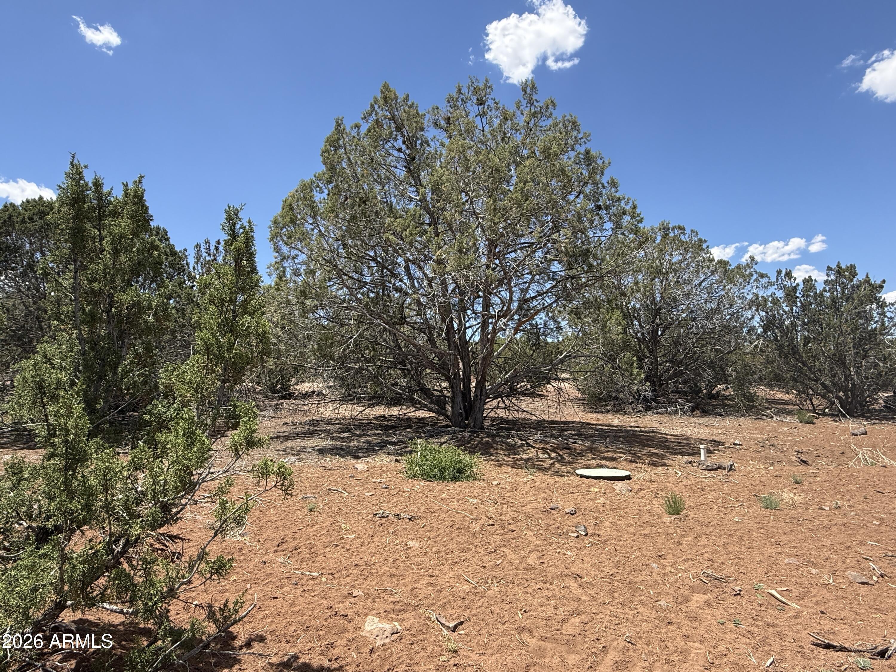 WHITE MOUNTAIN LAKES UNIT 3 - Land